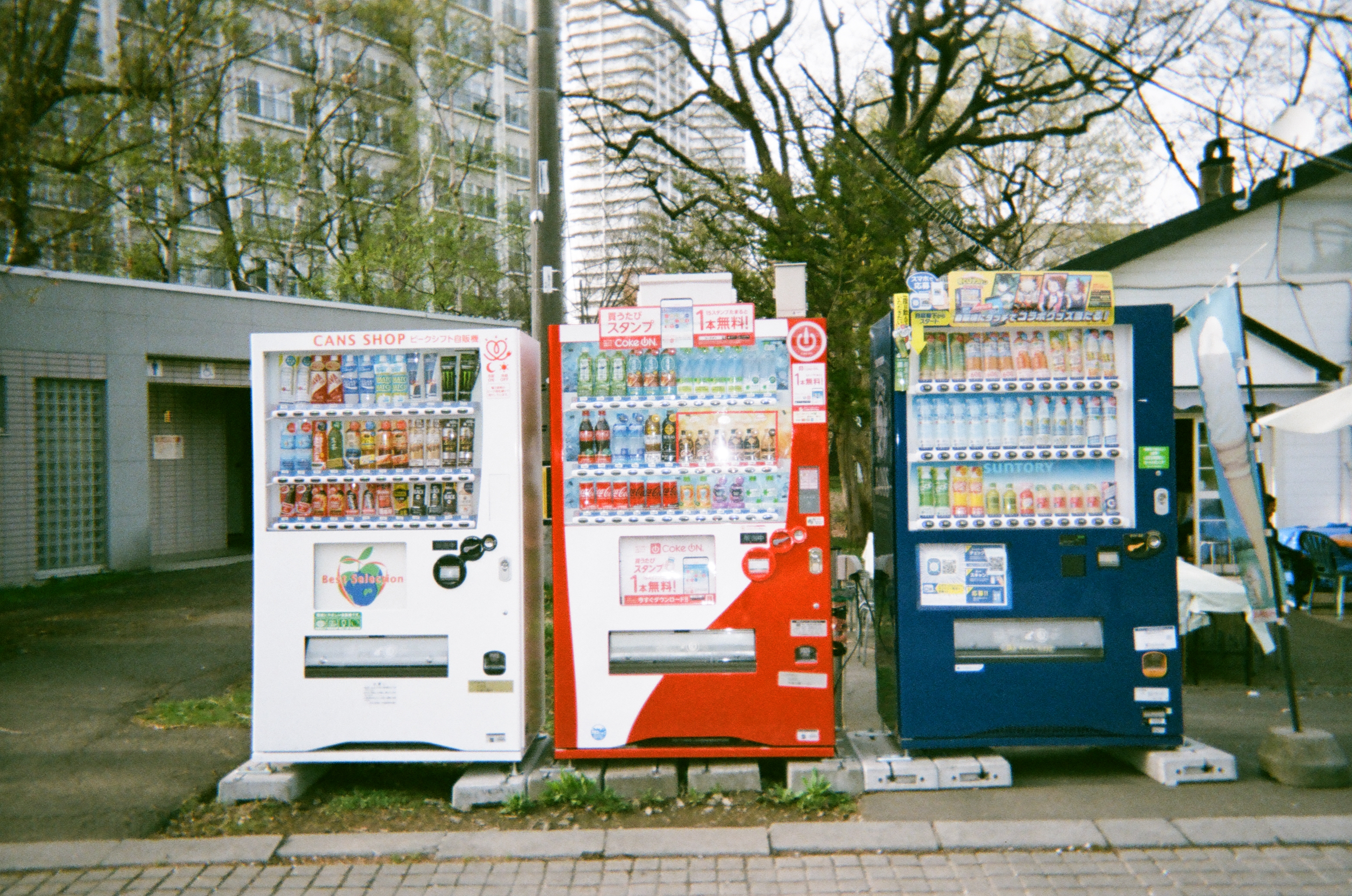 Roll #1 — Fujifilm Simple Ace 400 6