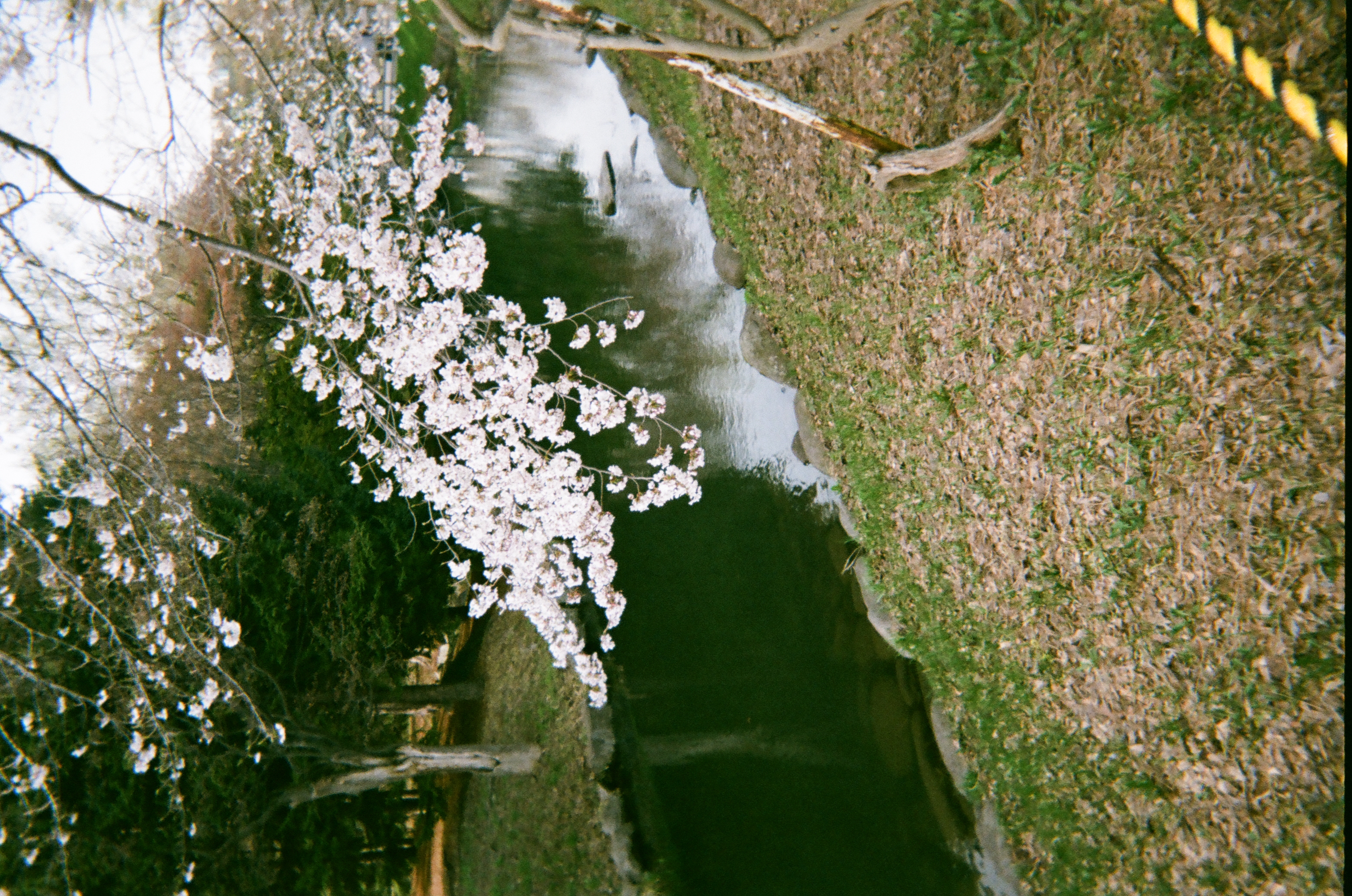 Roll #1 — Fujifilm Simple Ace 400 8