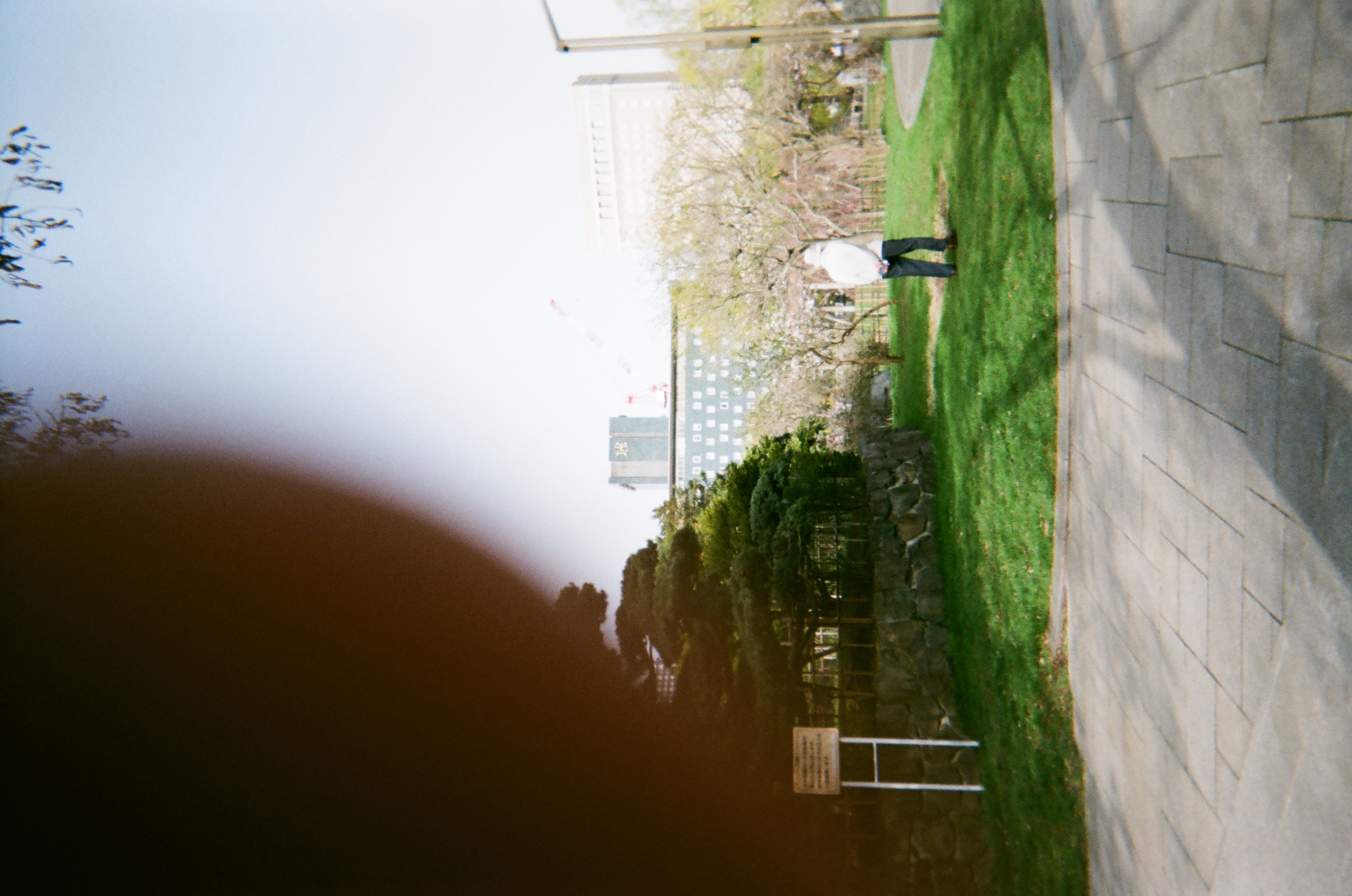 Roll #1 — Fujifilm Simple Ace 400 11