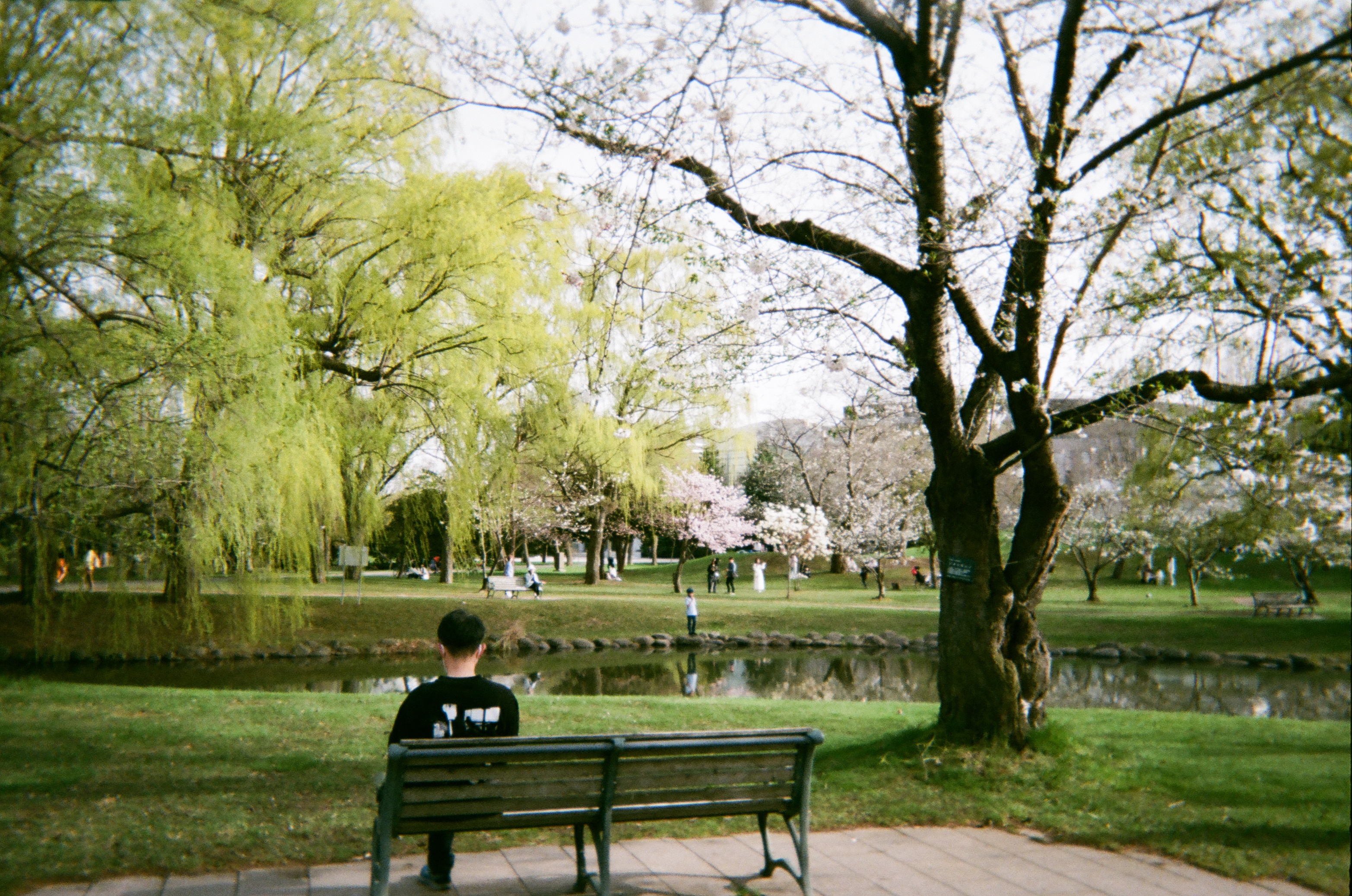 Roll #1 — Fujifilm Simple Ace 400 12