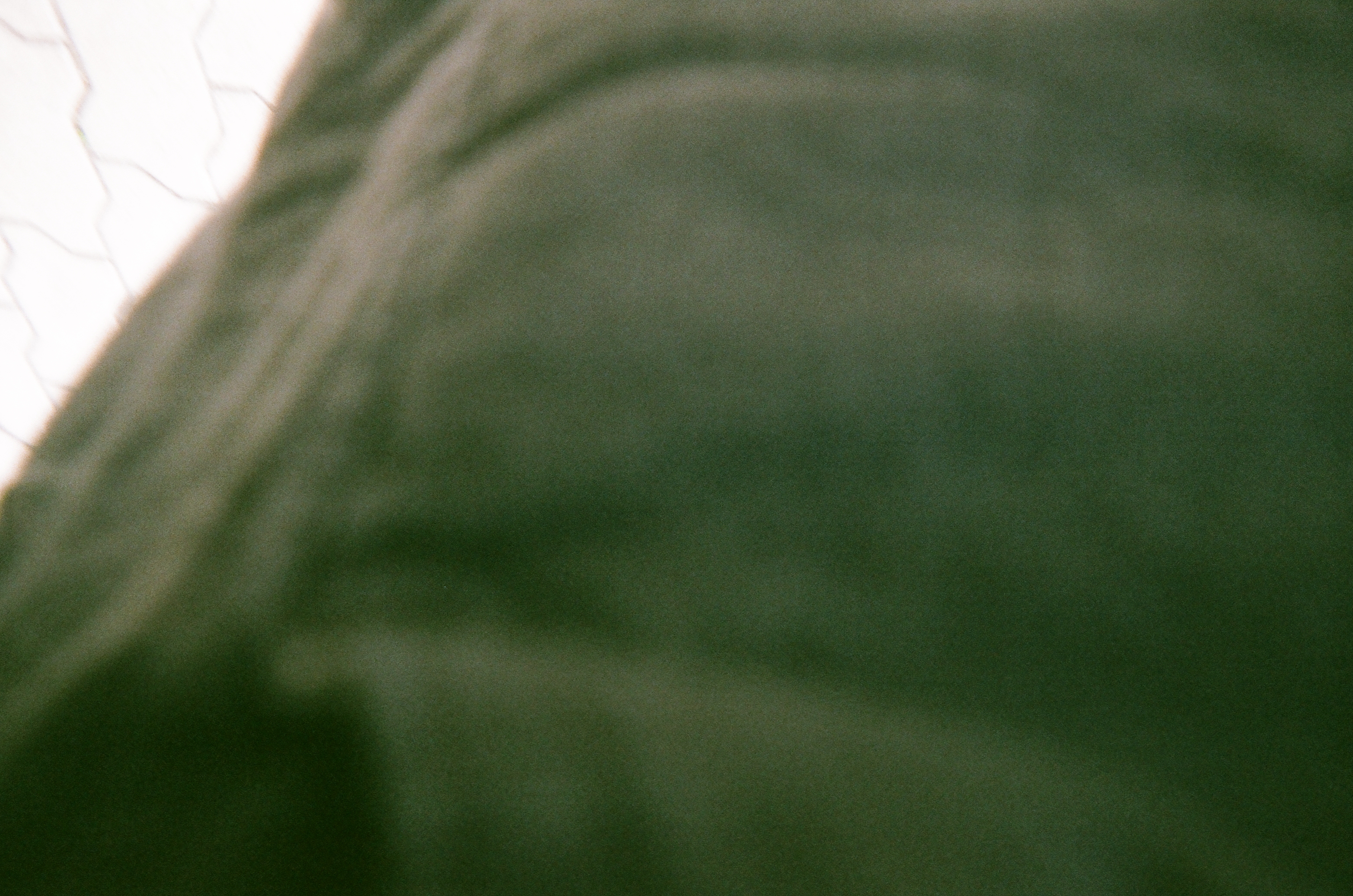 Roll #1 — Fujifilm Simple Ace 400 16