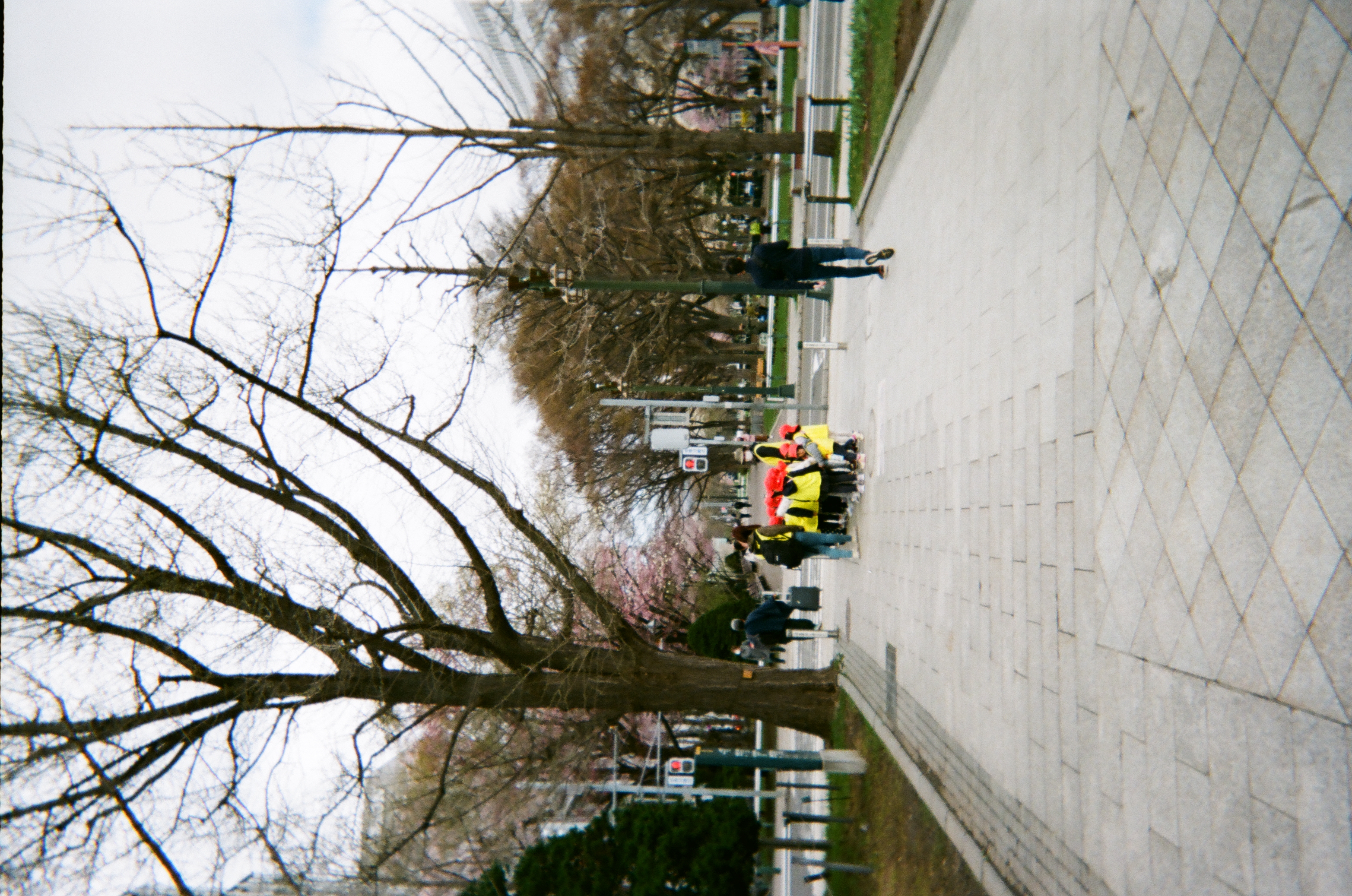 Roll #1 — Fujifilm Simple Ace 400 27