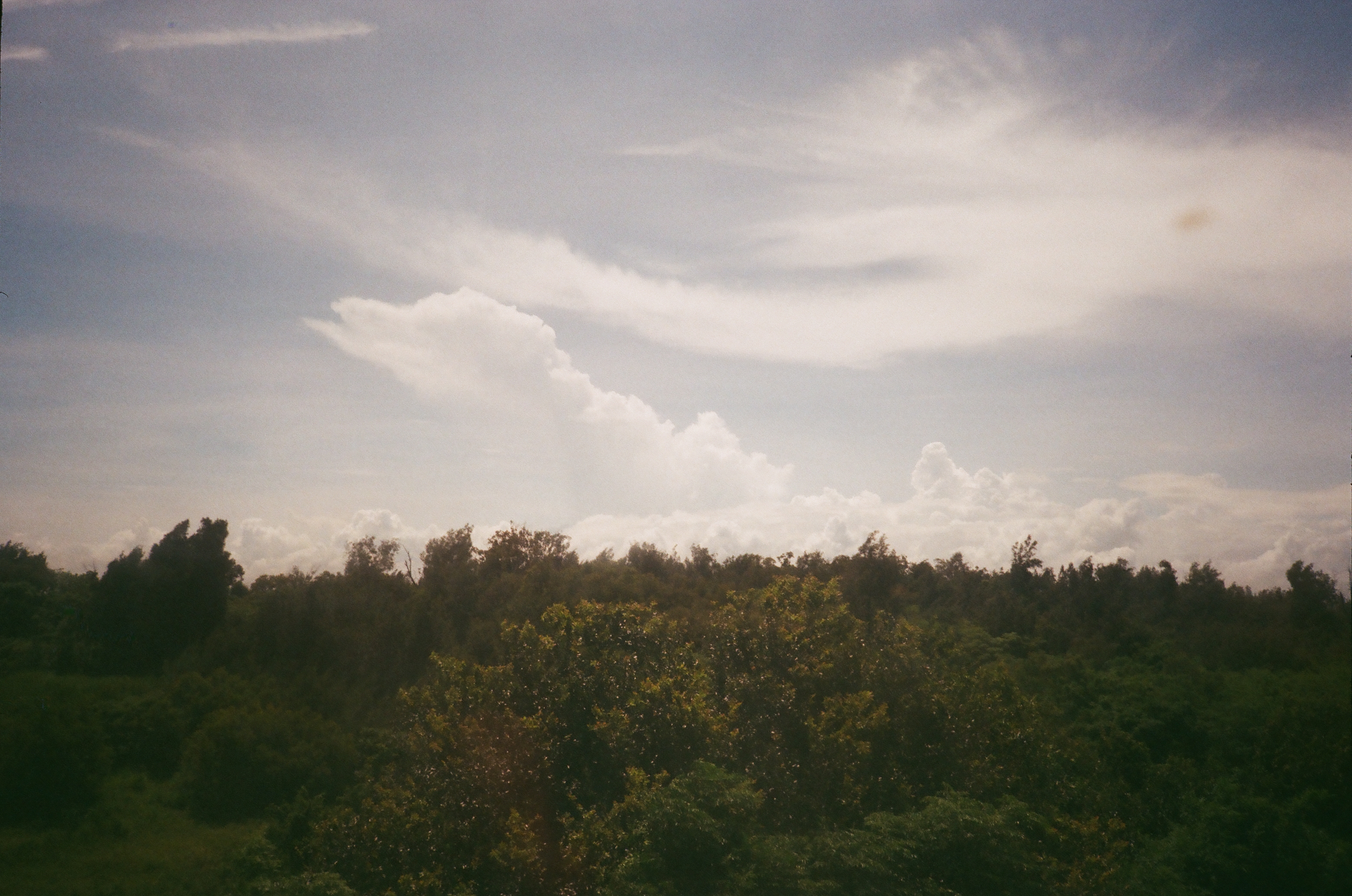 Roll #2 — Pentax 17 3