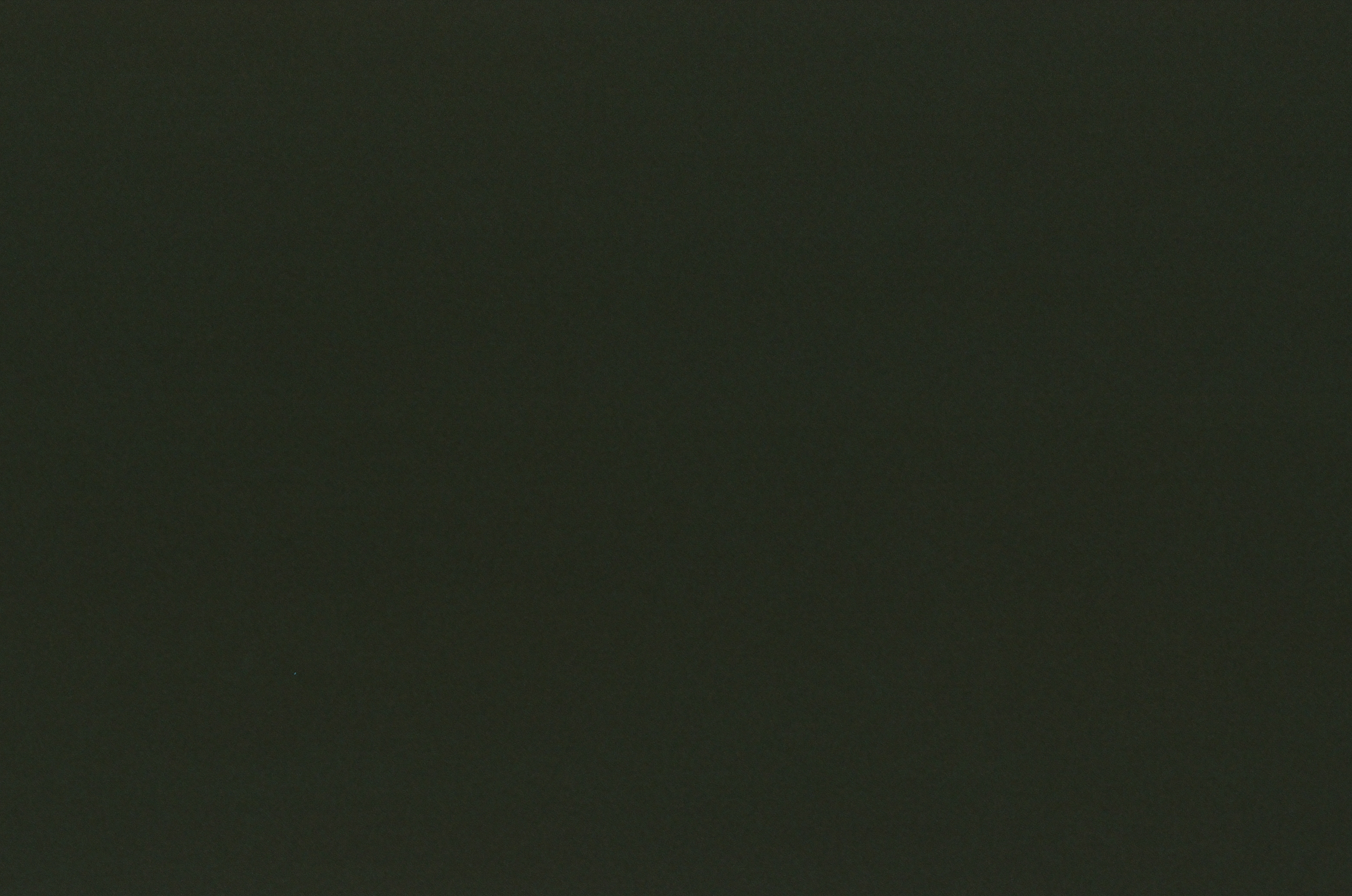 Roll #2 — Pentax 17 6