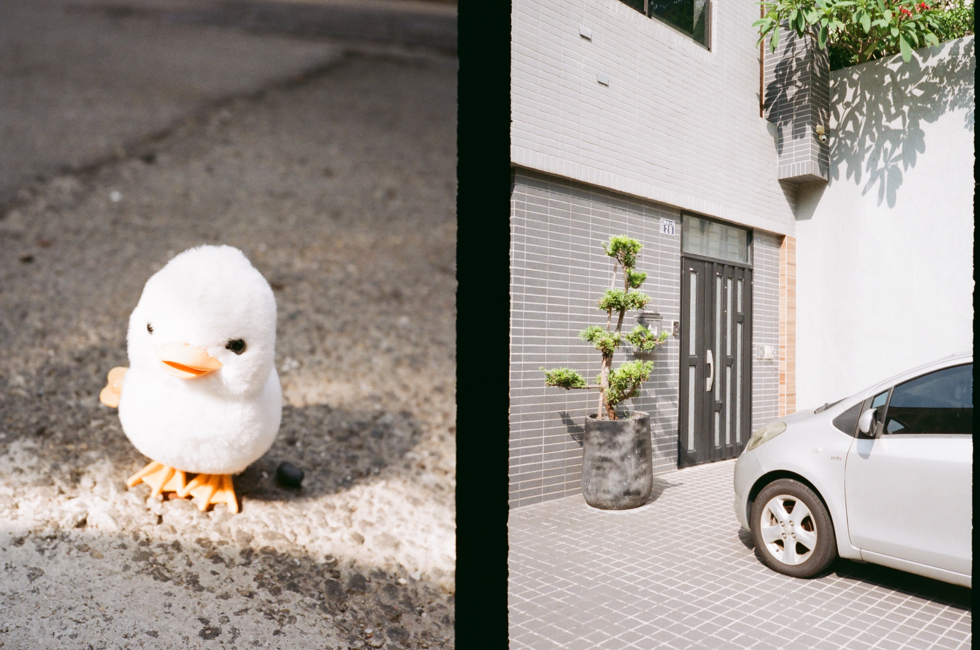 Roll #2 — Pentax 17 36