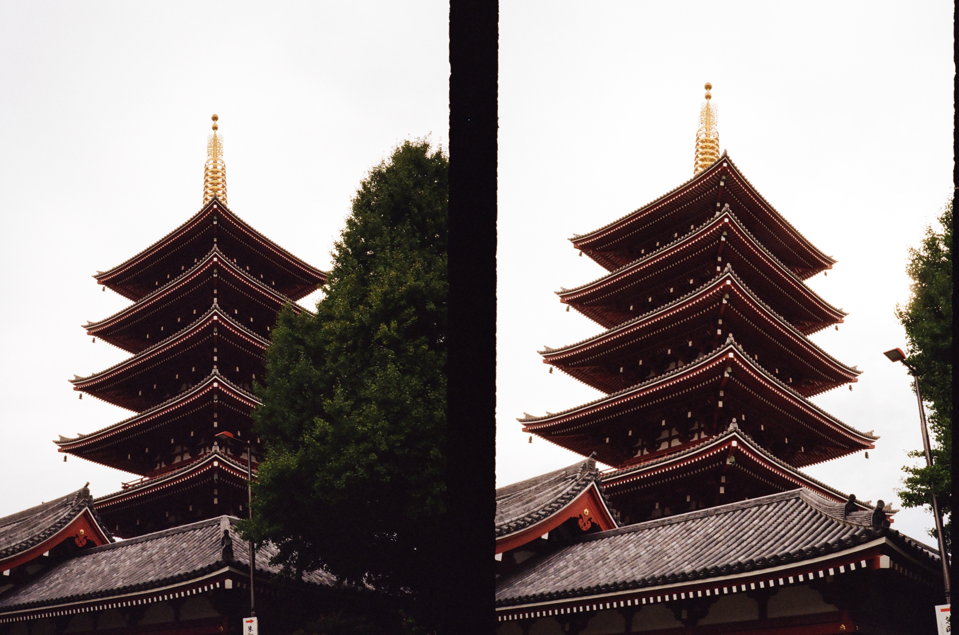 Roll #3 — Pentax 17 7