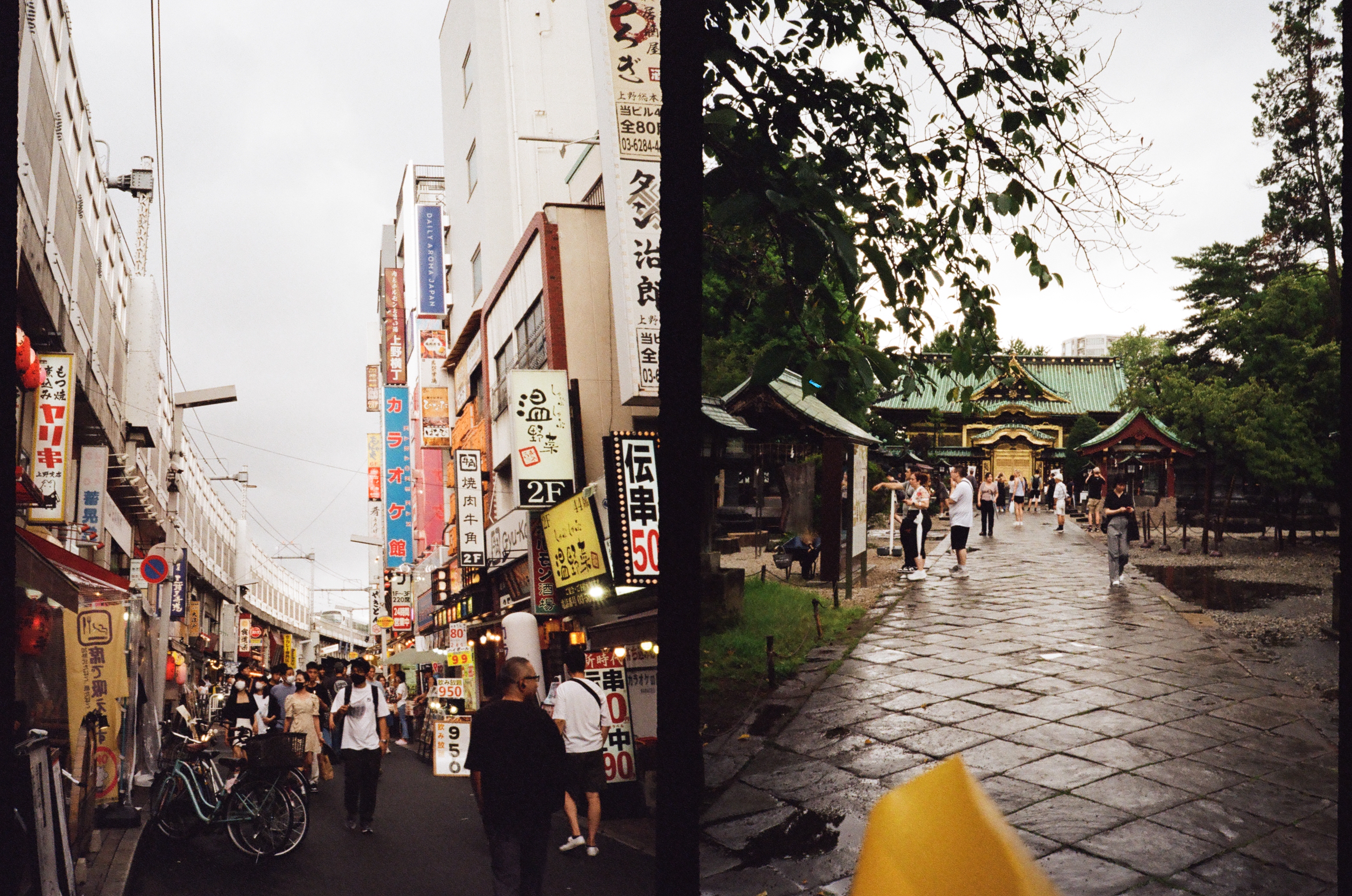 Roll #3 — Pentax 17 10