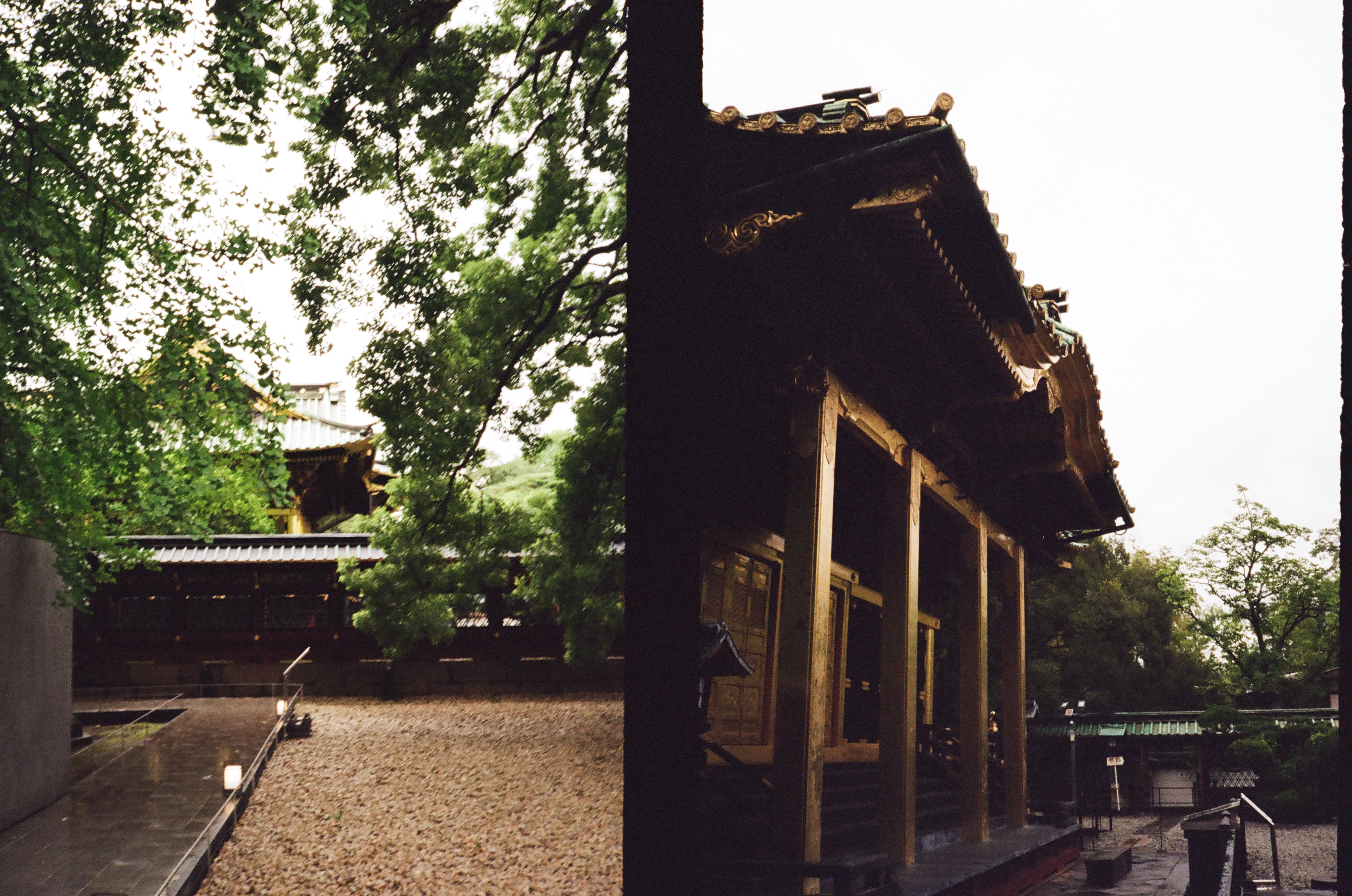 Roll #3 — Pentax 17 11