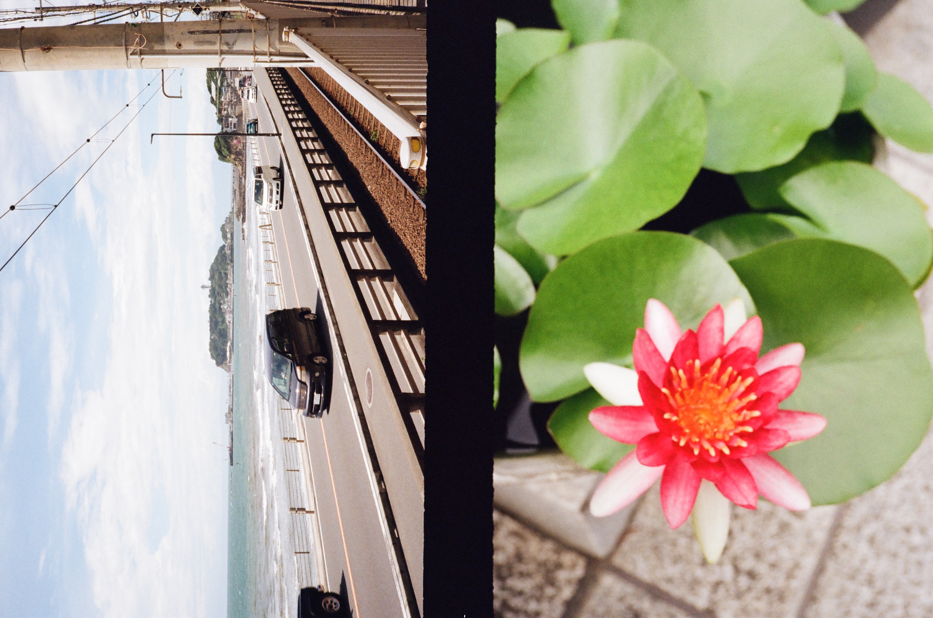 Roll #3 — Pentax 17 18