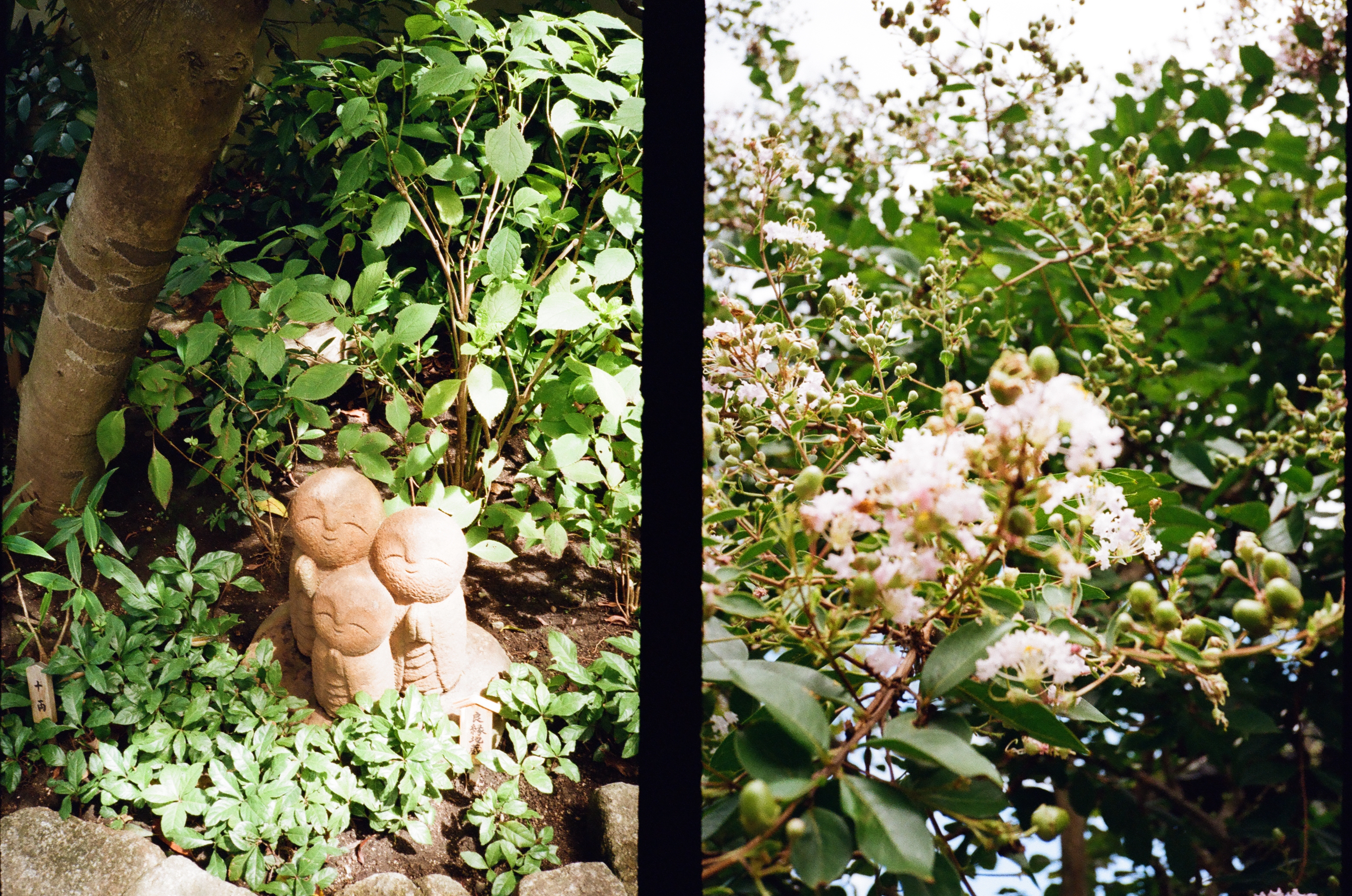 Roll #3 — Pentax 17 19