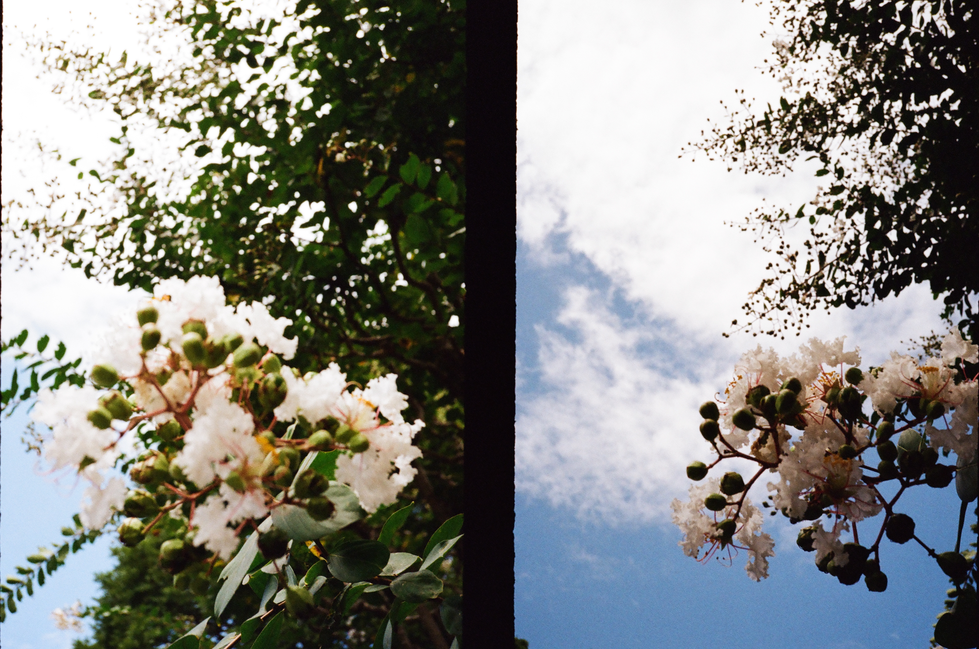 Roll #3 — Pentax 17 20