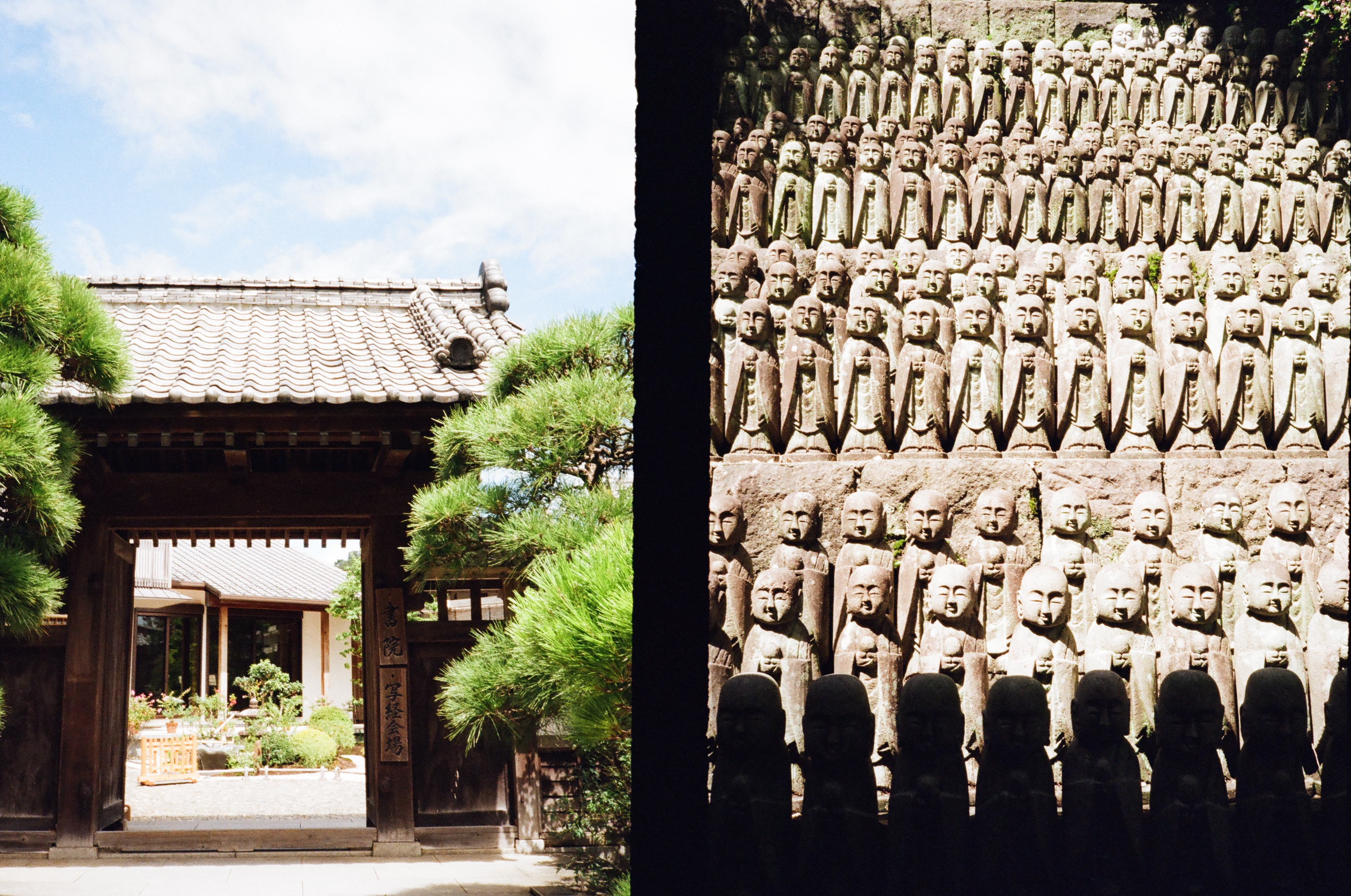 Roll #3 — Pentax 17 21