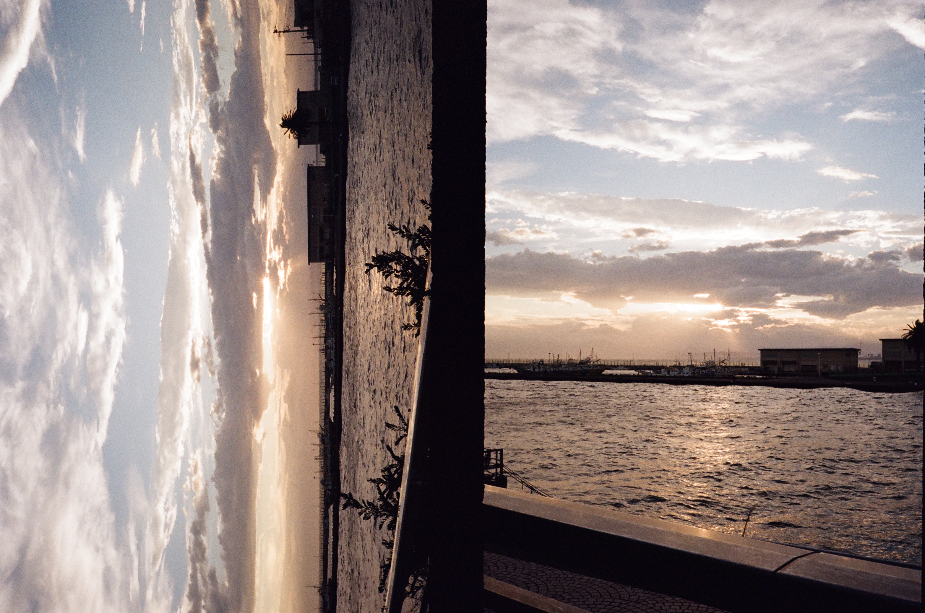 Roll #3 — Pentax 17 31