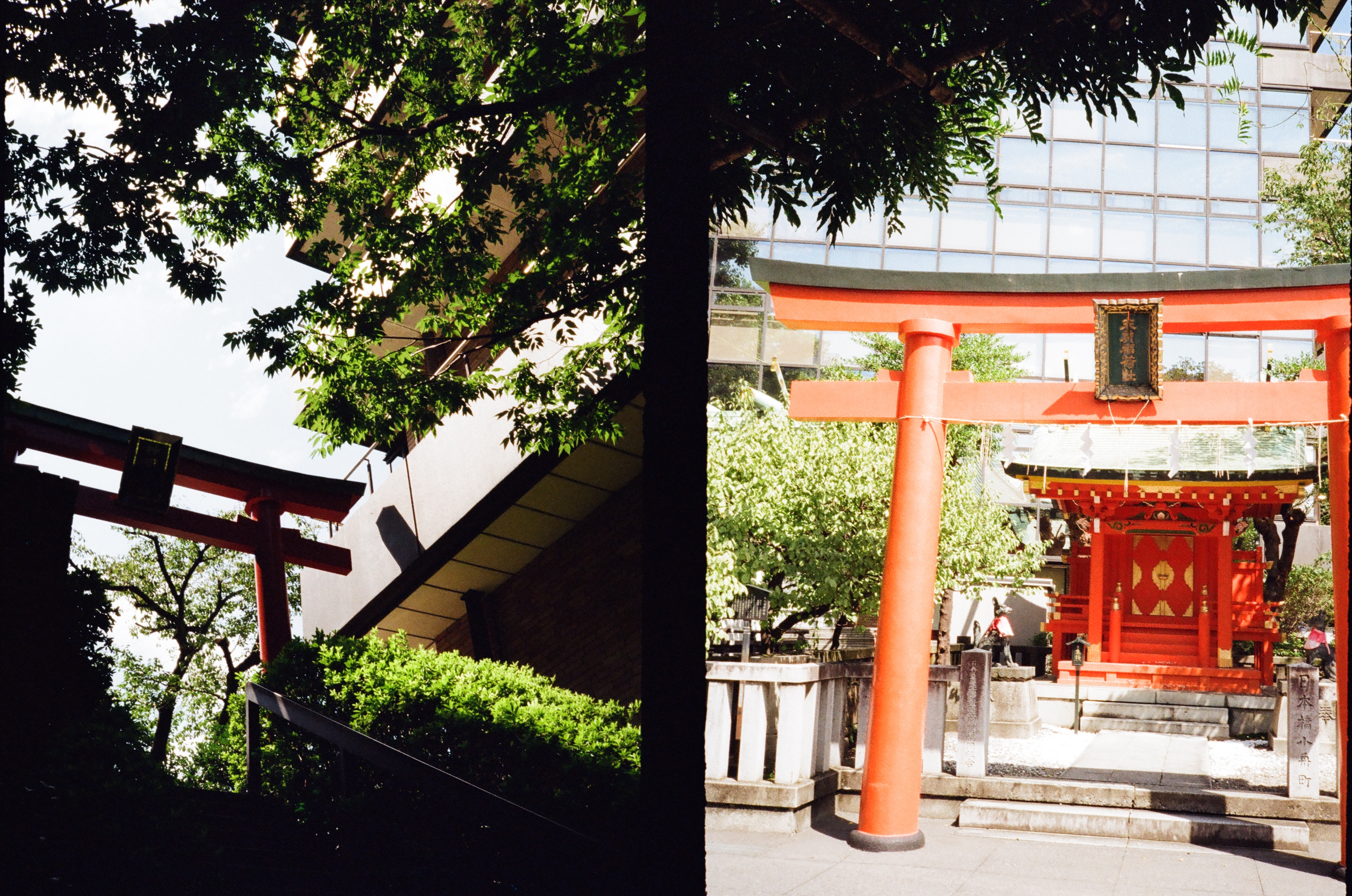 Roll #3 — Pentax 17 34