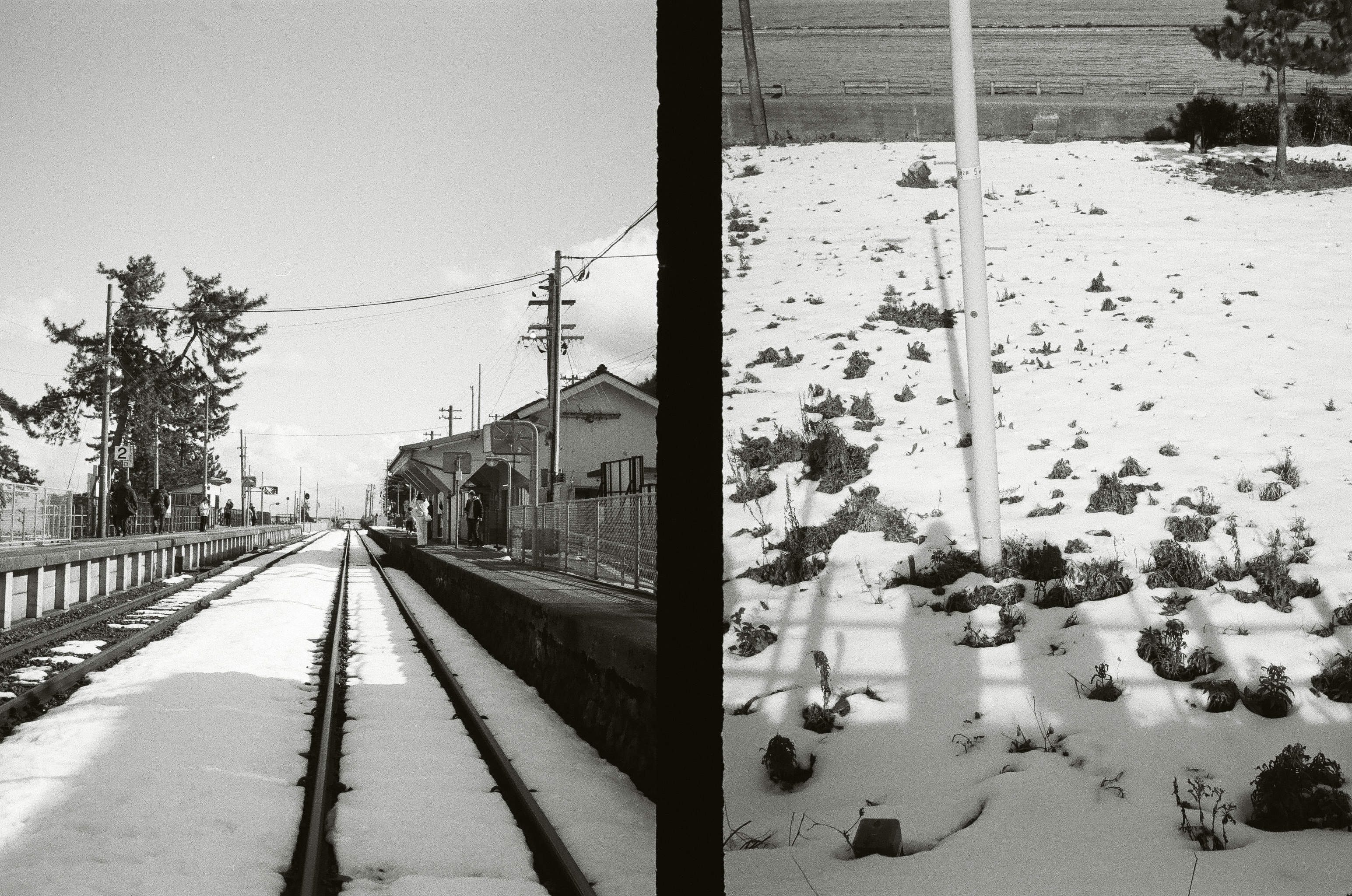 Roll #4 — Pentax 17 6