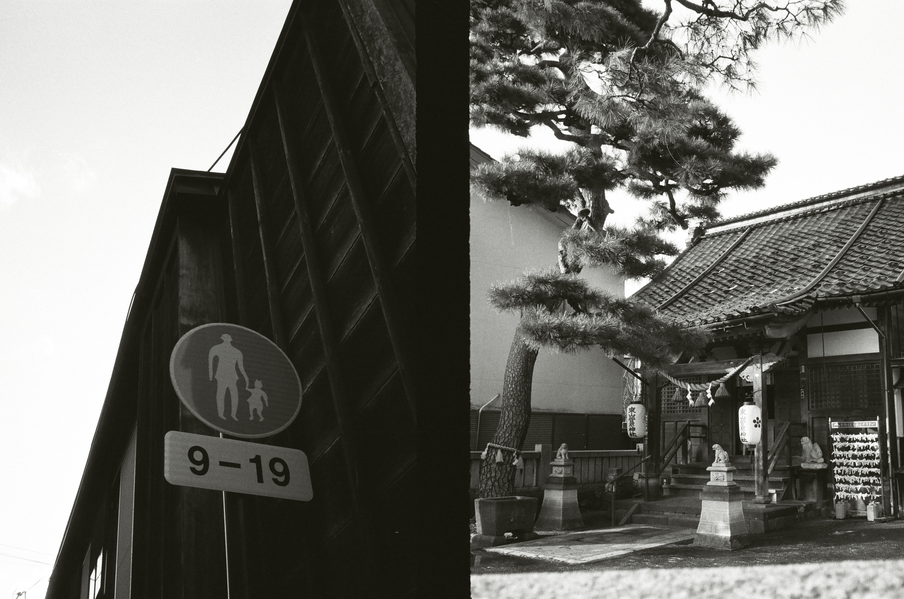 Roll #4 — Pentax 17 11