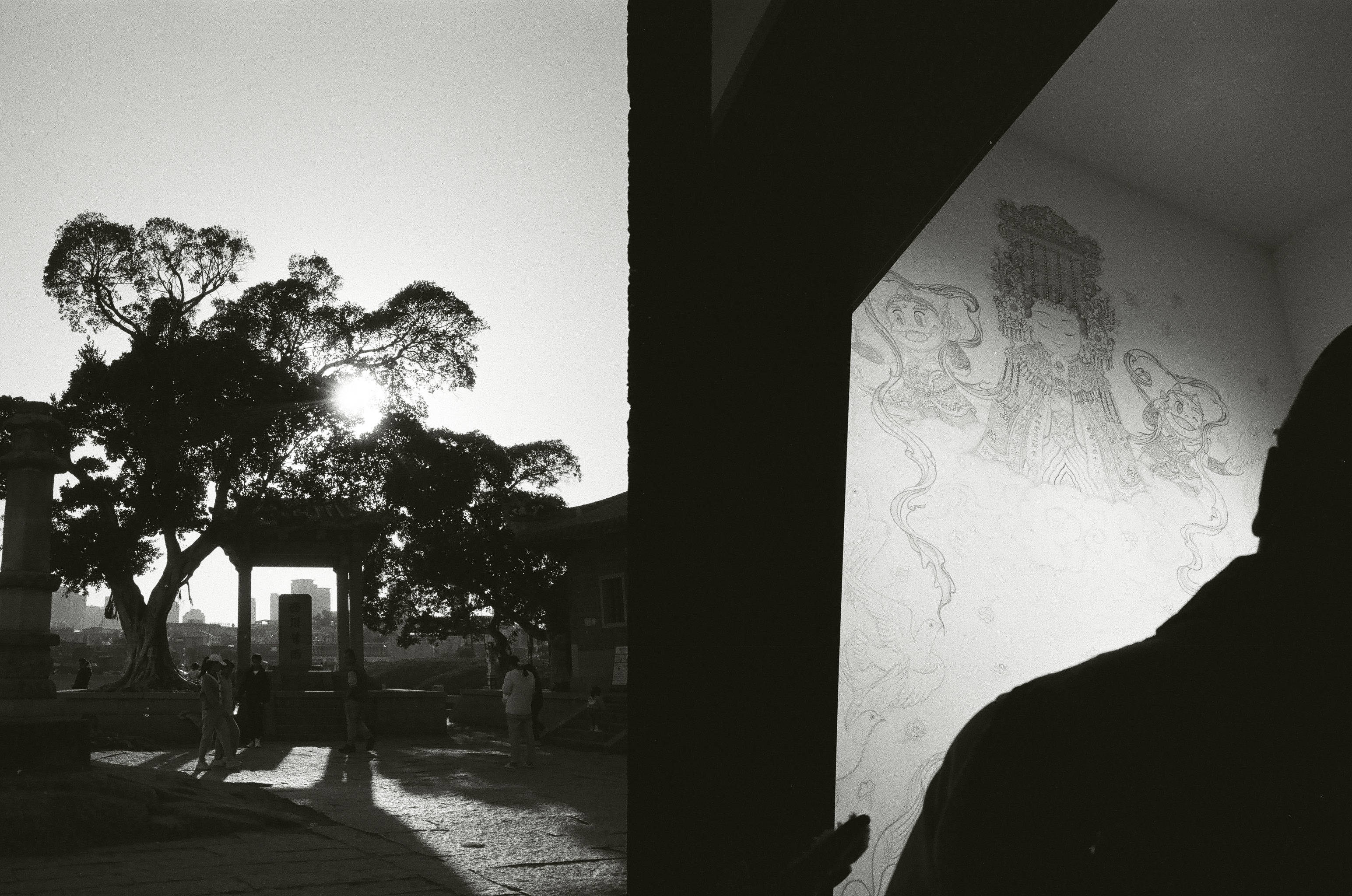 Roll #4 — Pentax 17 26