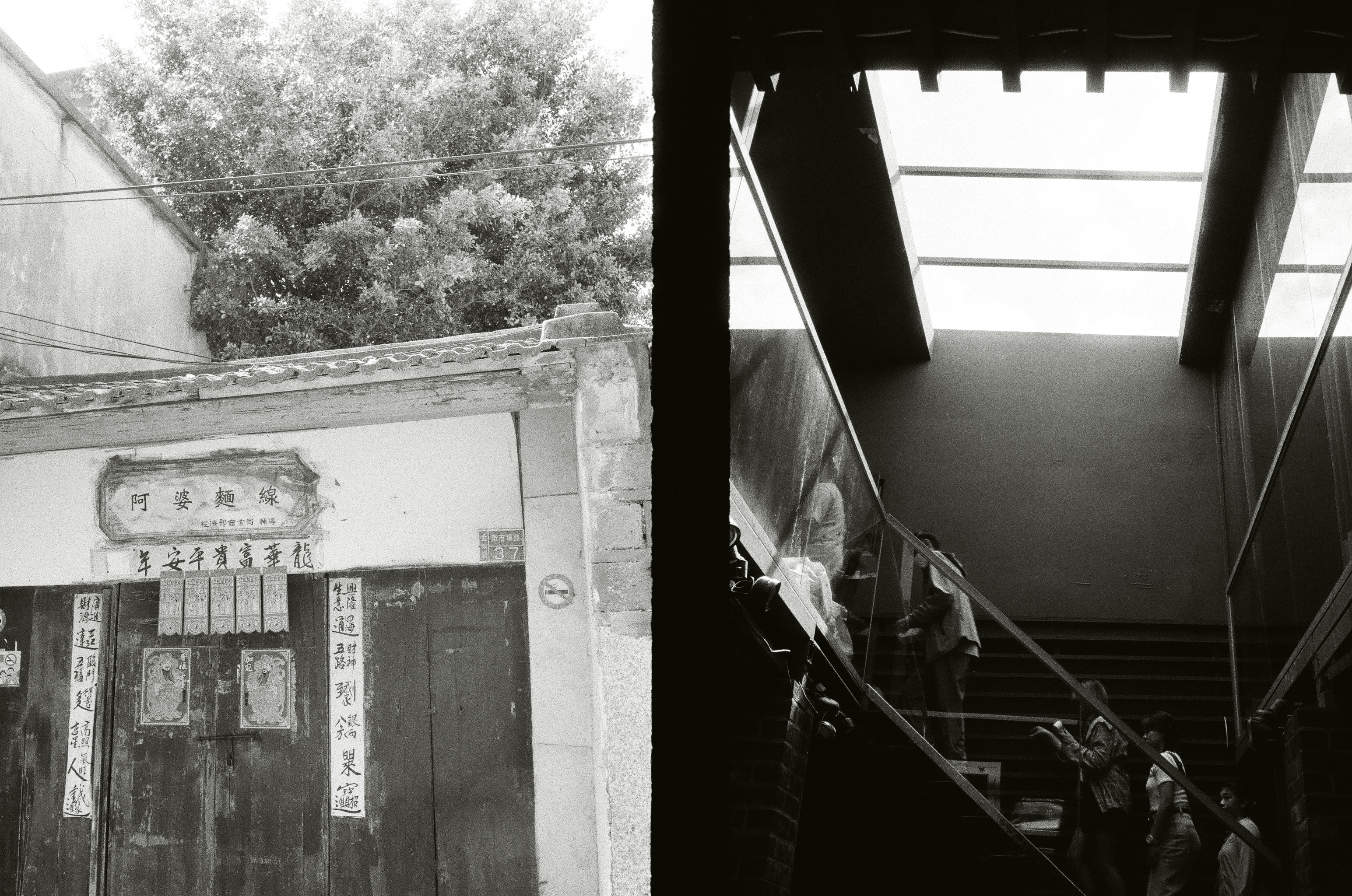 Roll #4 — Pentax 17 36