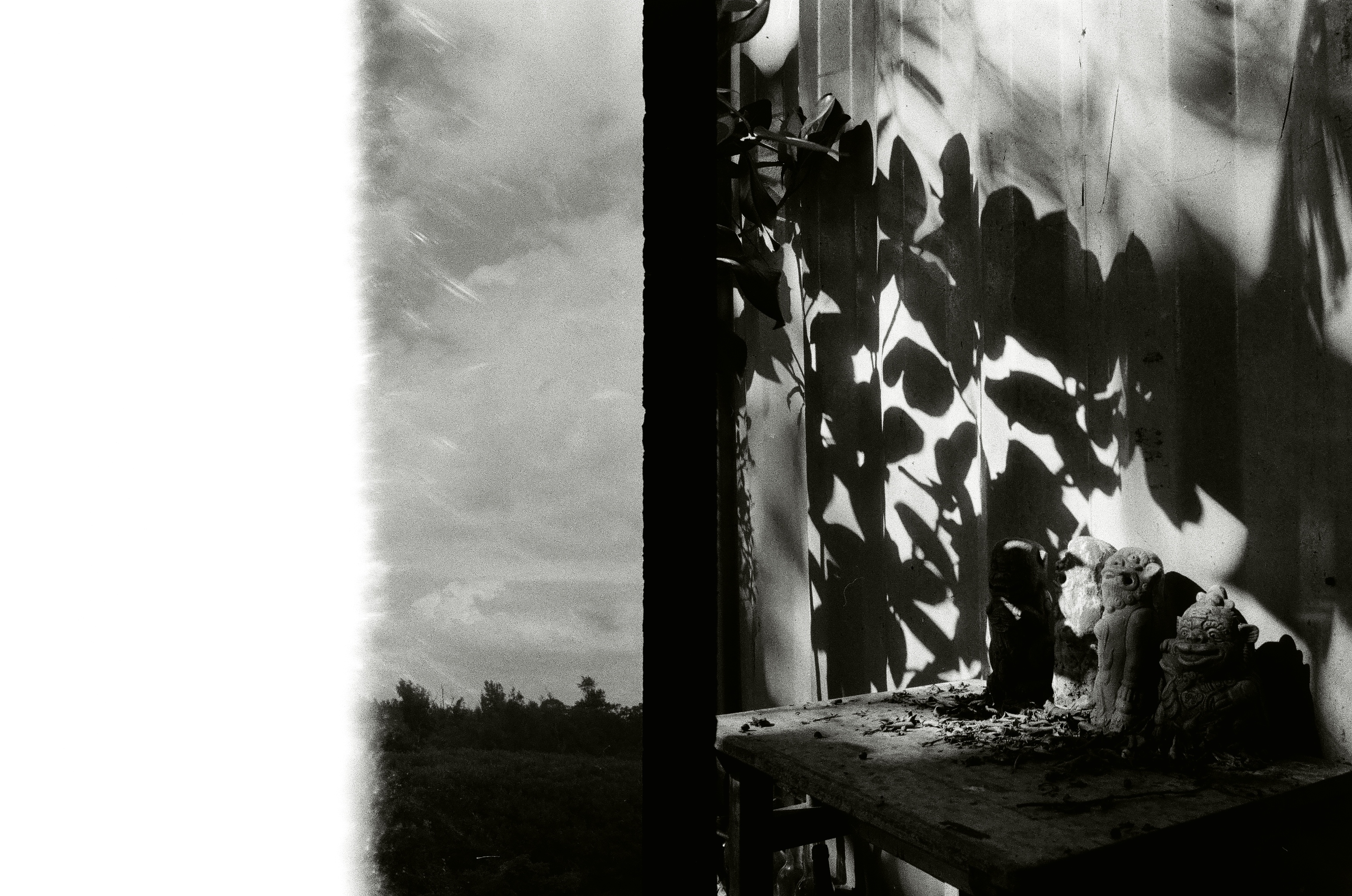 Roll #4 — Pentax 17 40