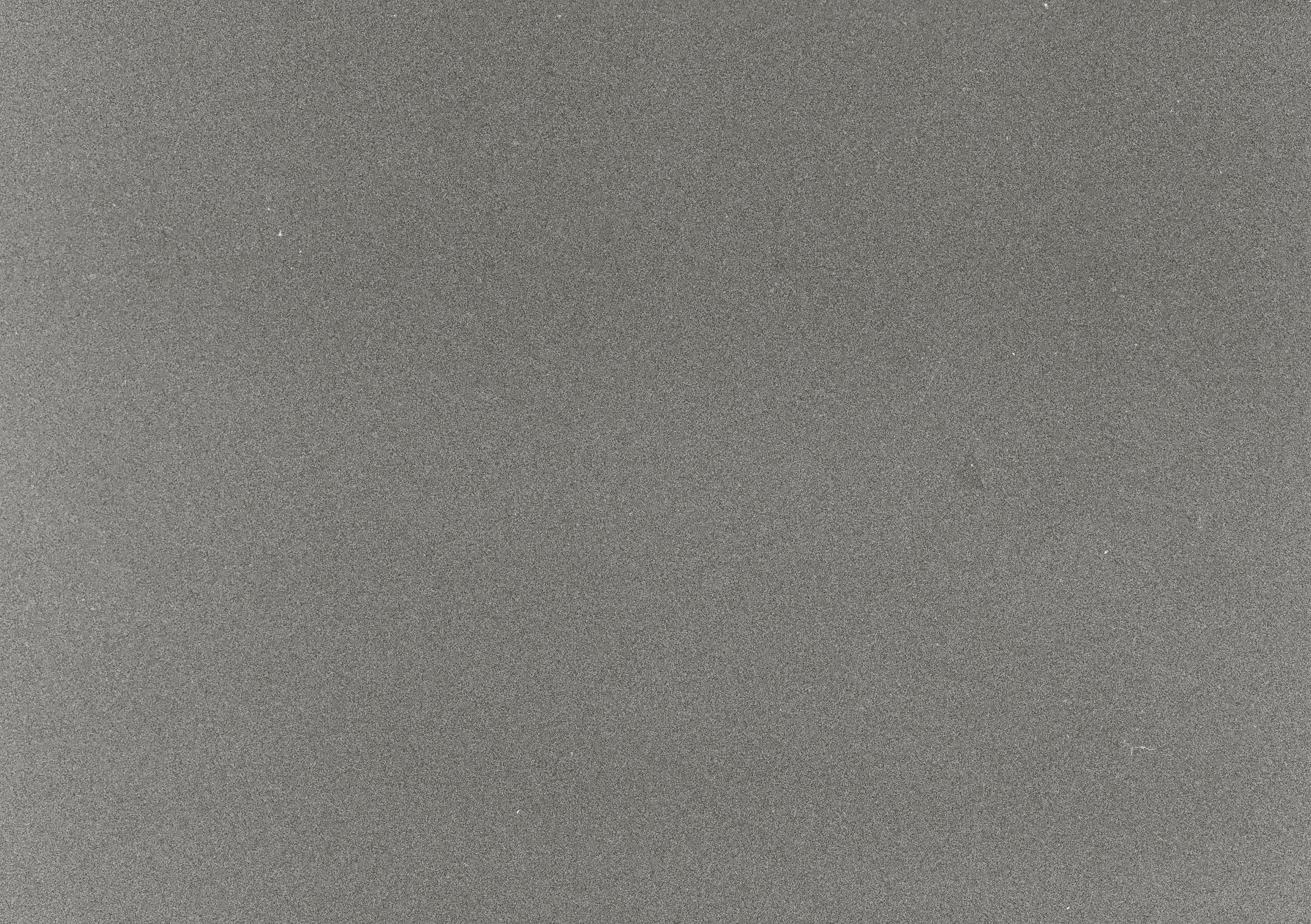 Roll #5 — Pentax 17 1