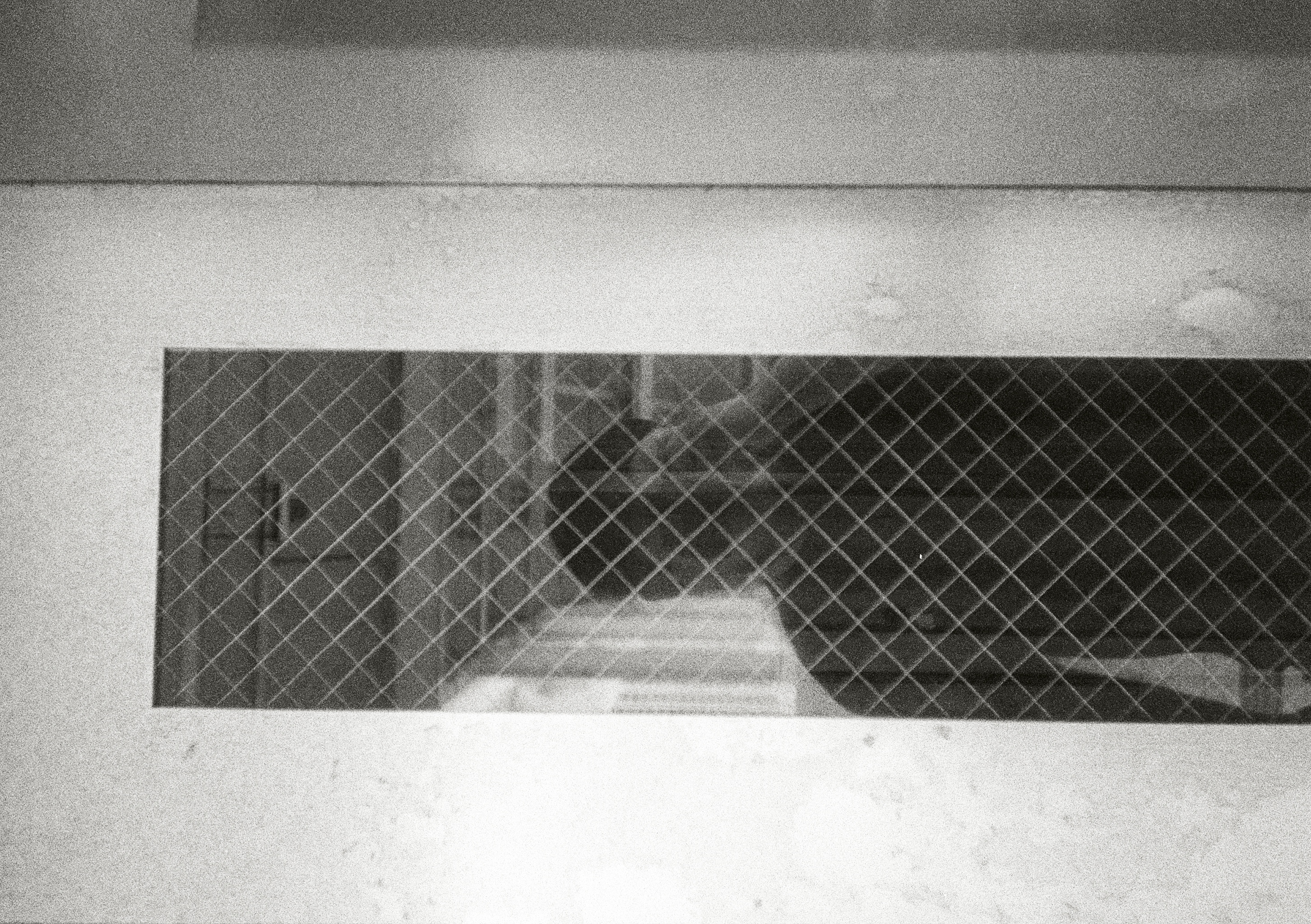 Roll #5 — Pentax 17 3