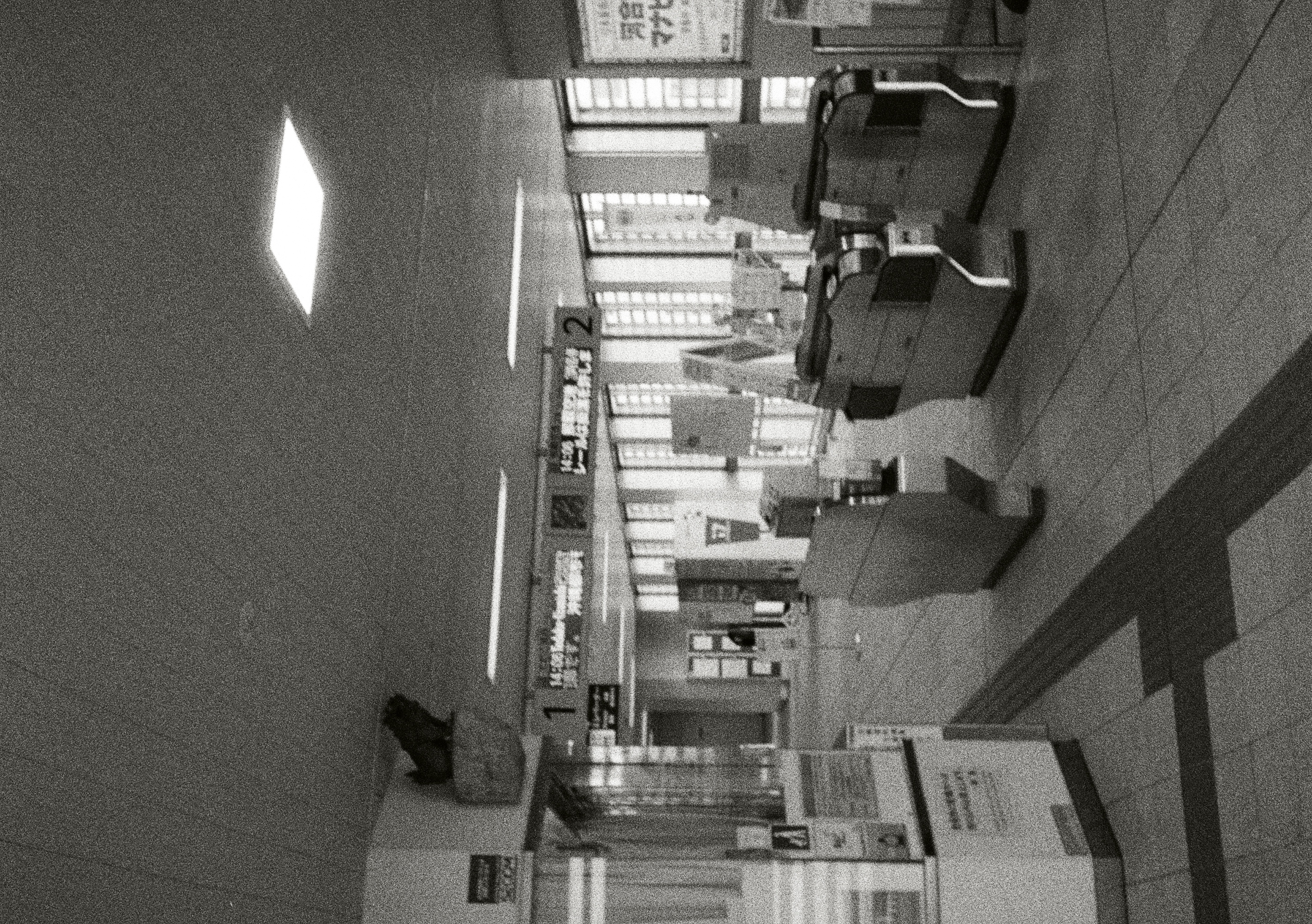 Roll #5 — Pentax 17 4