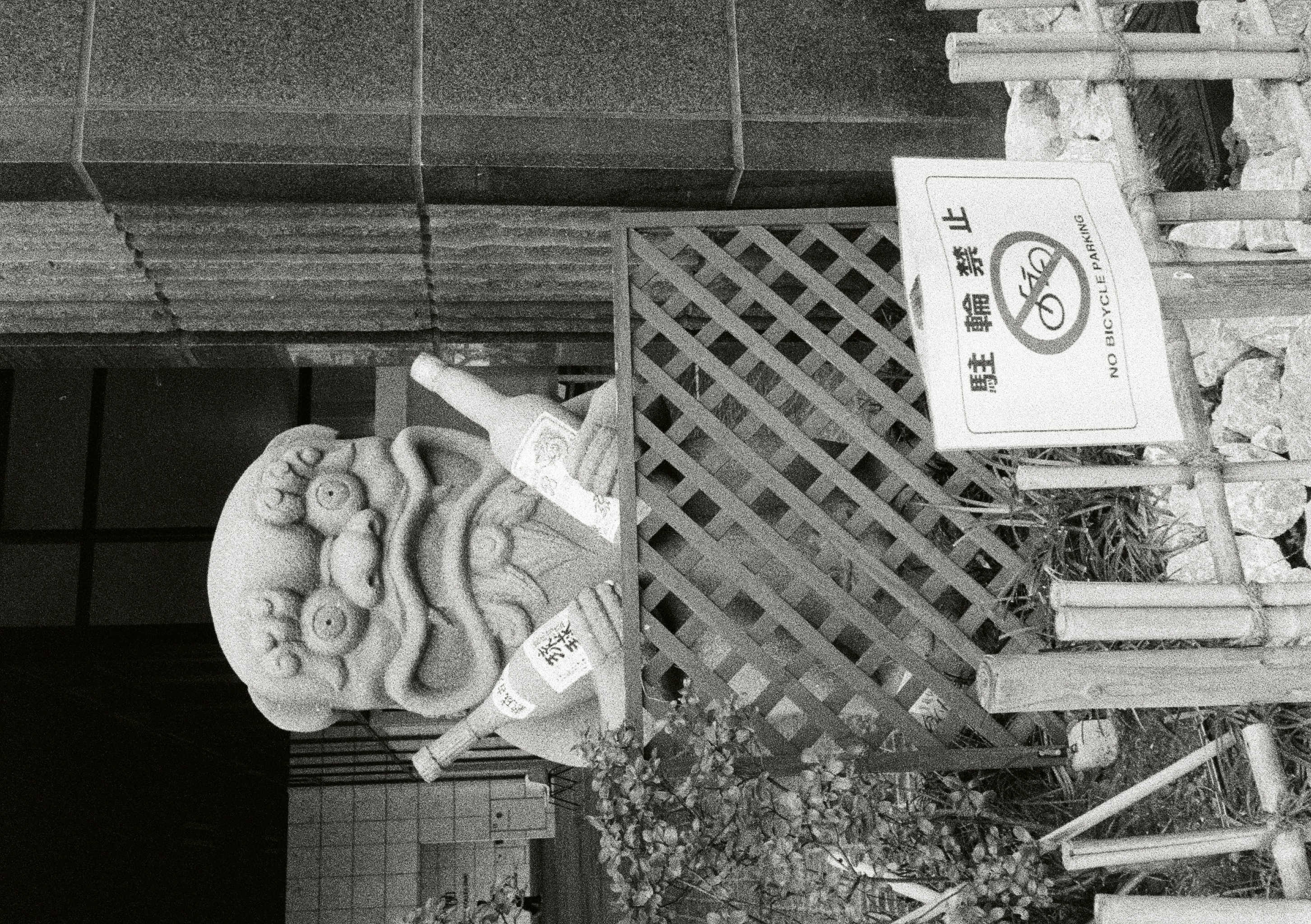 Roll #5 — Pentax 17 5