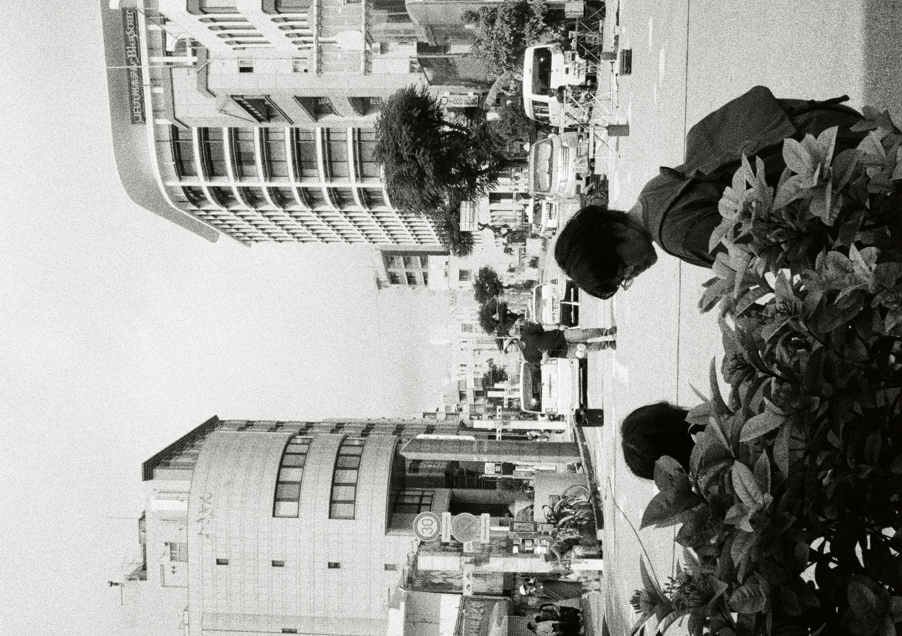 Roll #5 — Pentax 17 7