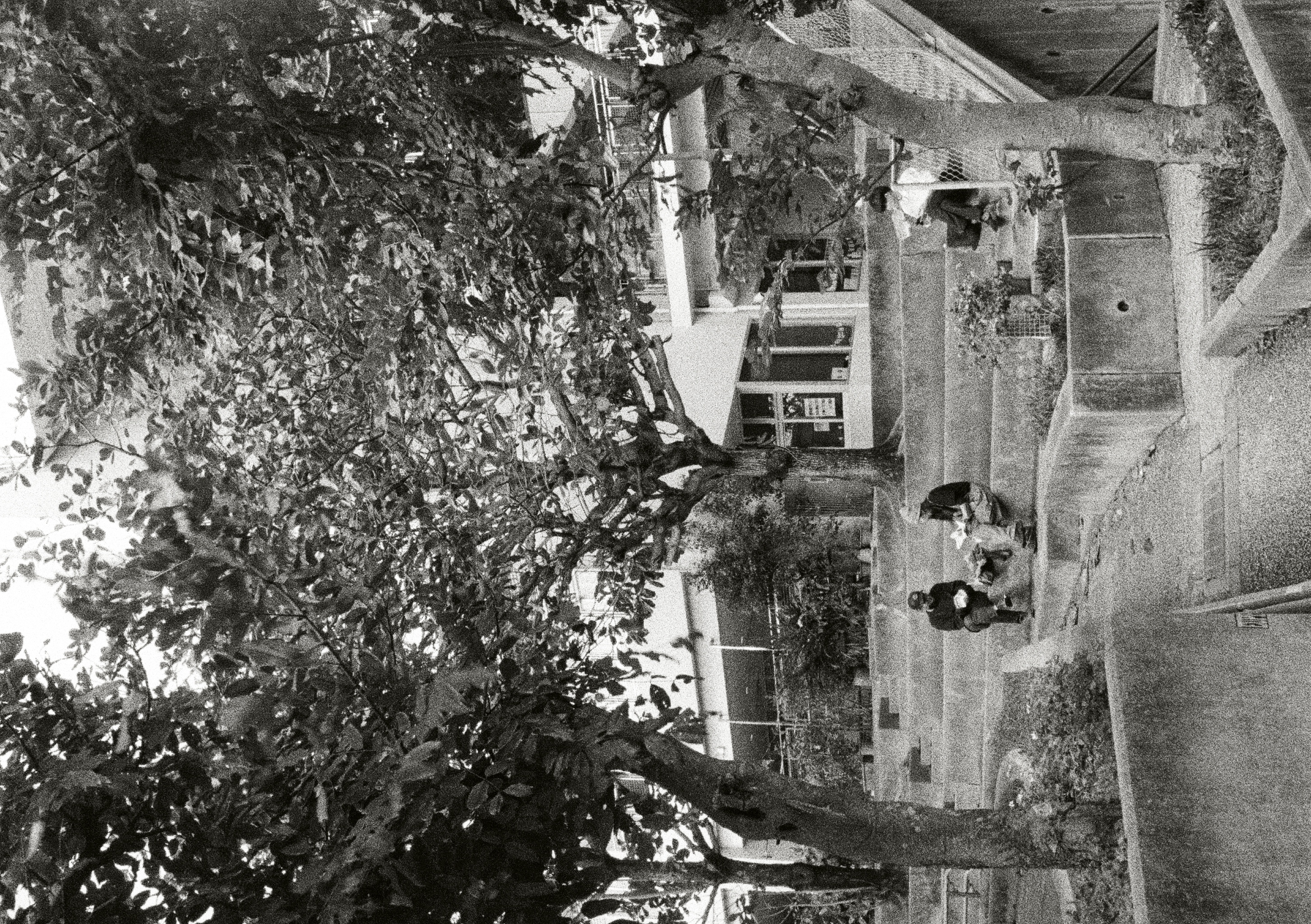 Roll #5 — Pentax 17 10