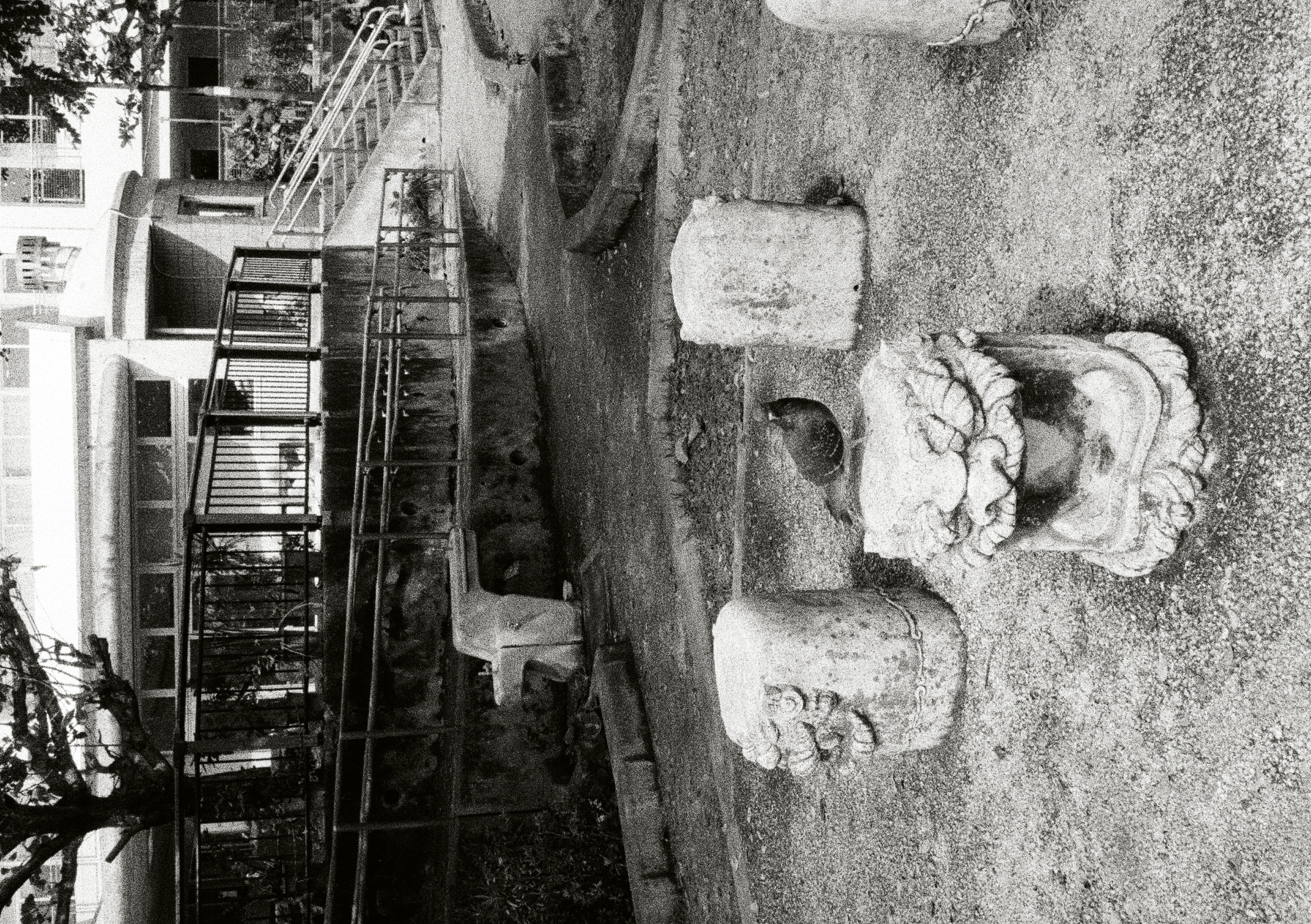 Roll #5 — Pentax 17 11