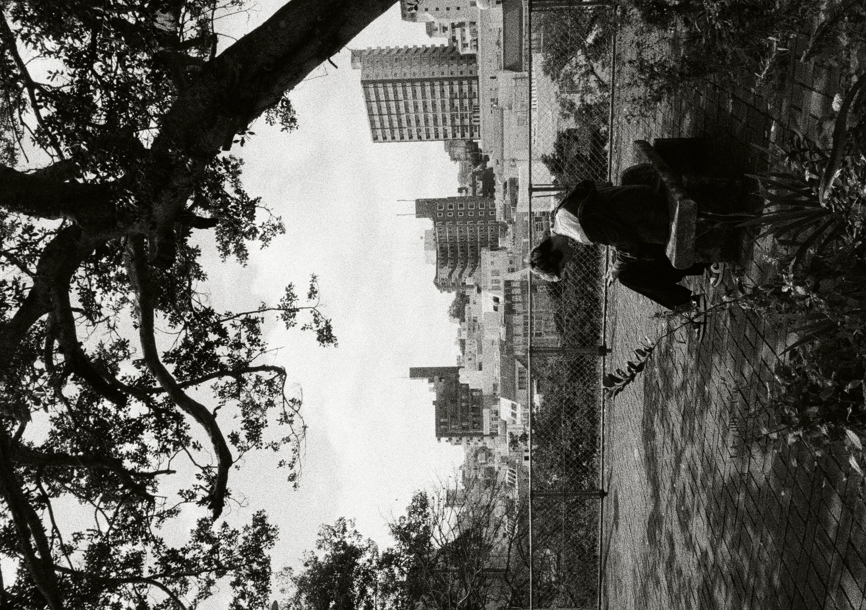 Roll #5 — Pentax 17 12