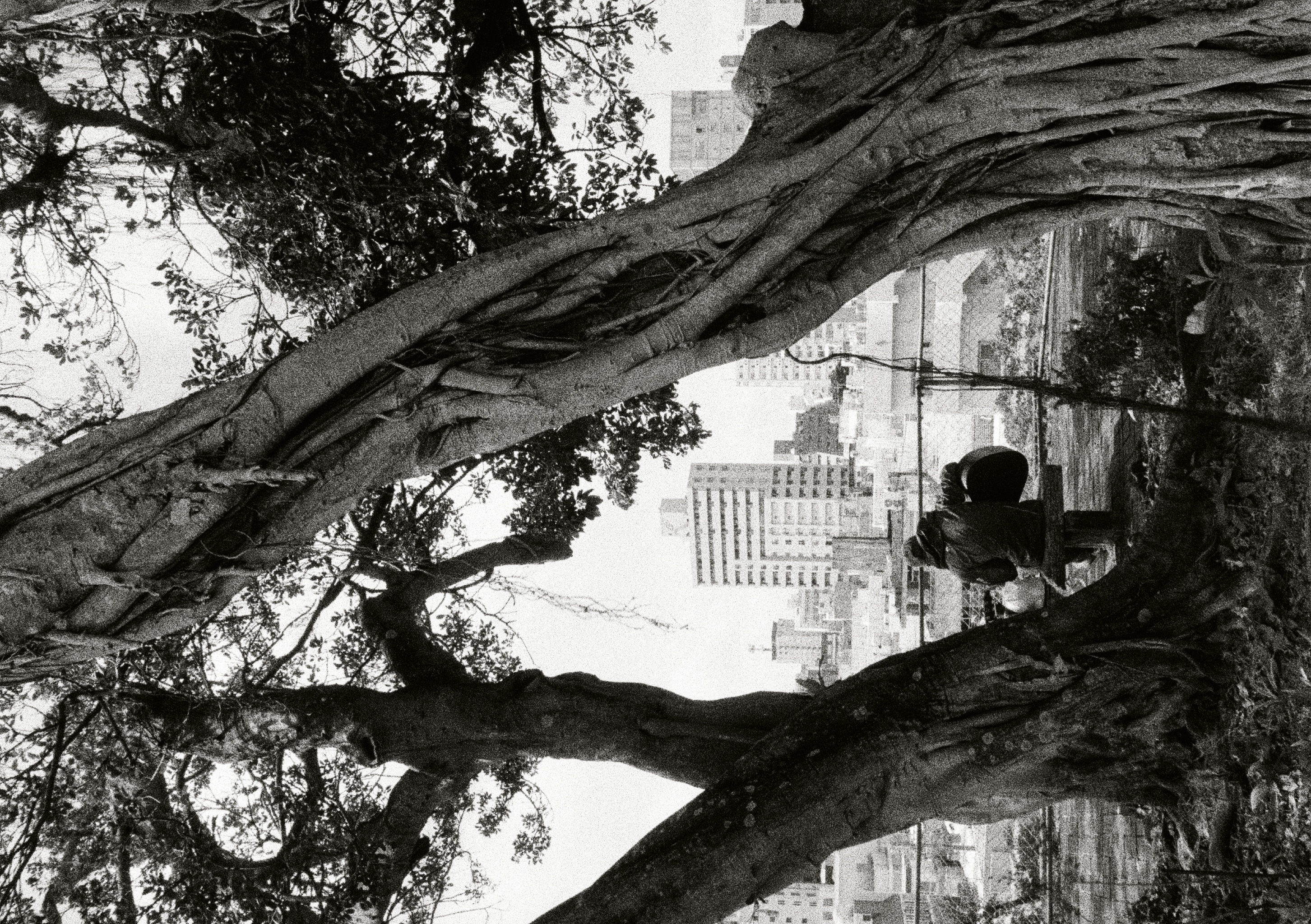 Roll #5 — Pentax 17 13