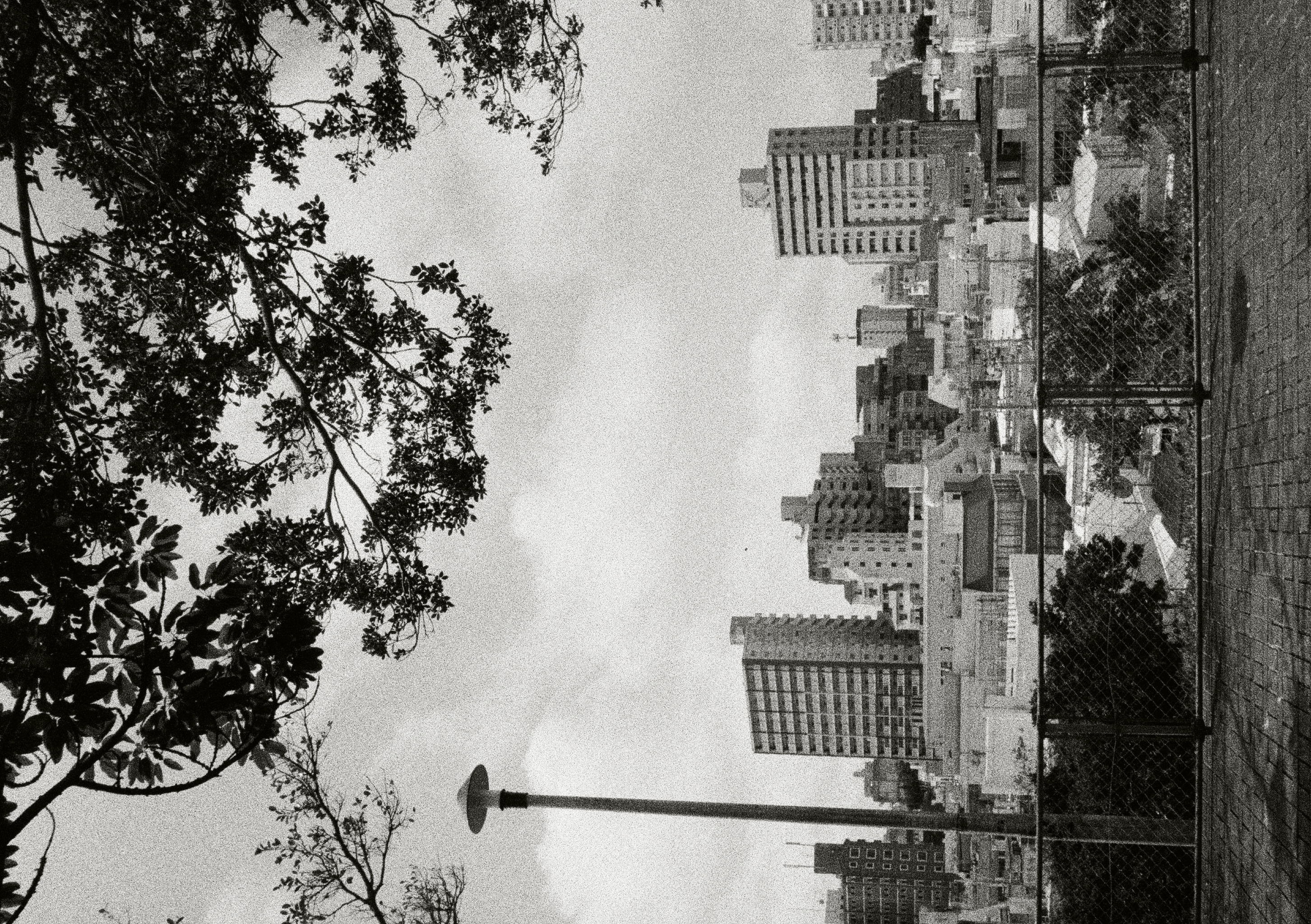 Roll #5 — Pentax 17 14