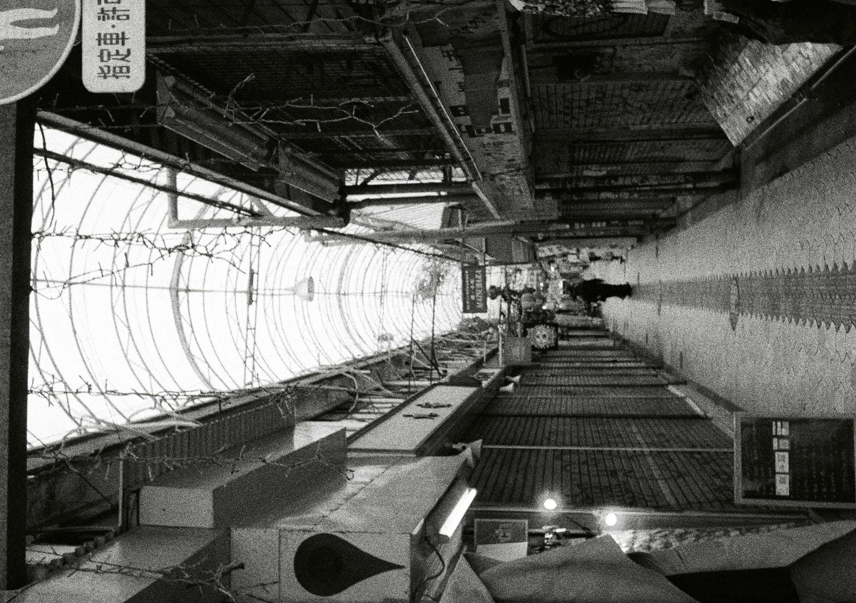 Roll #5 — Pentax 17 18