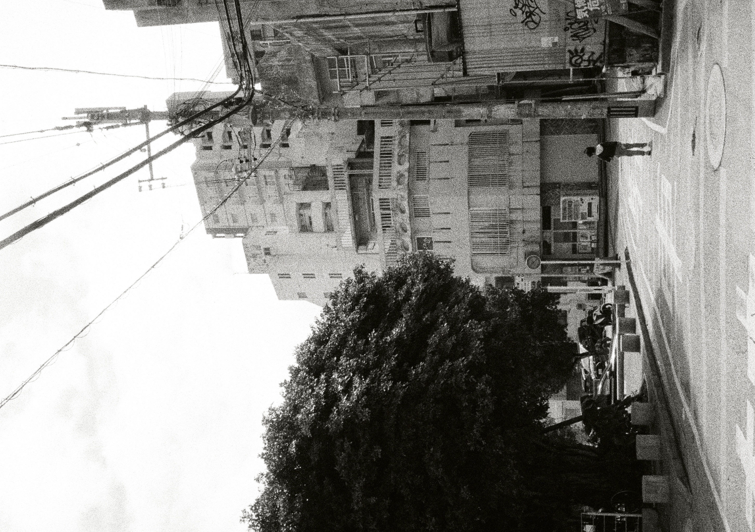 Roll #5 — Pentax 17 23