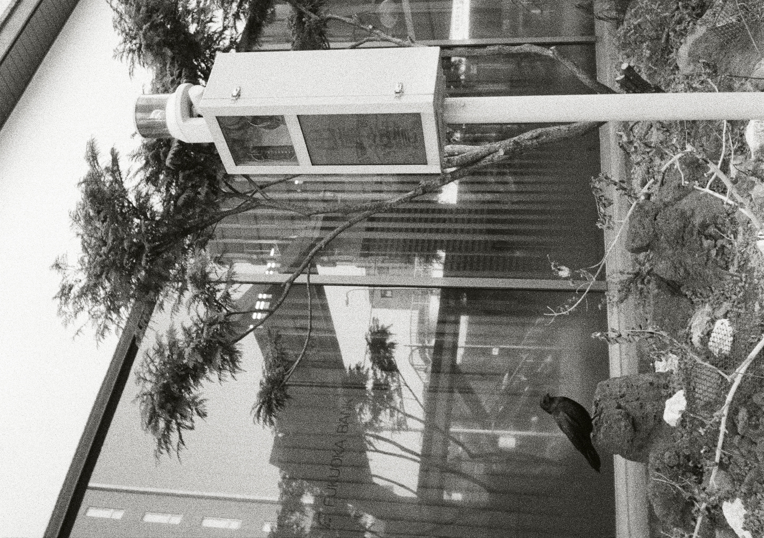 Roll #5 — Pentax 17 29