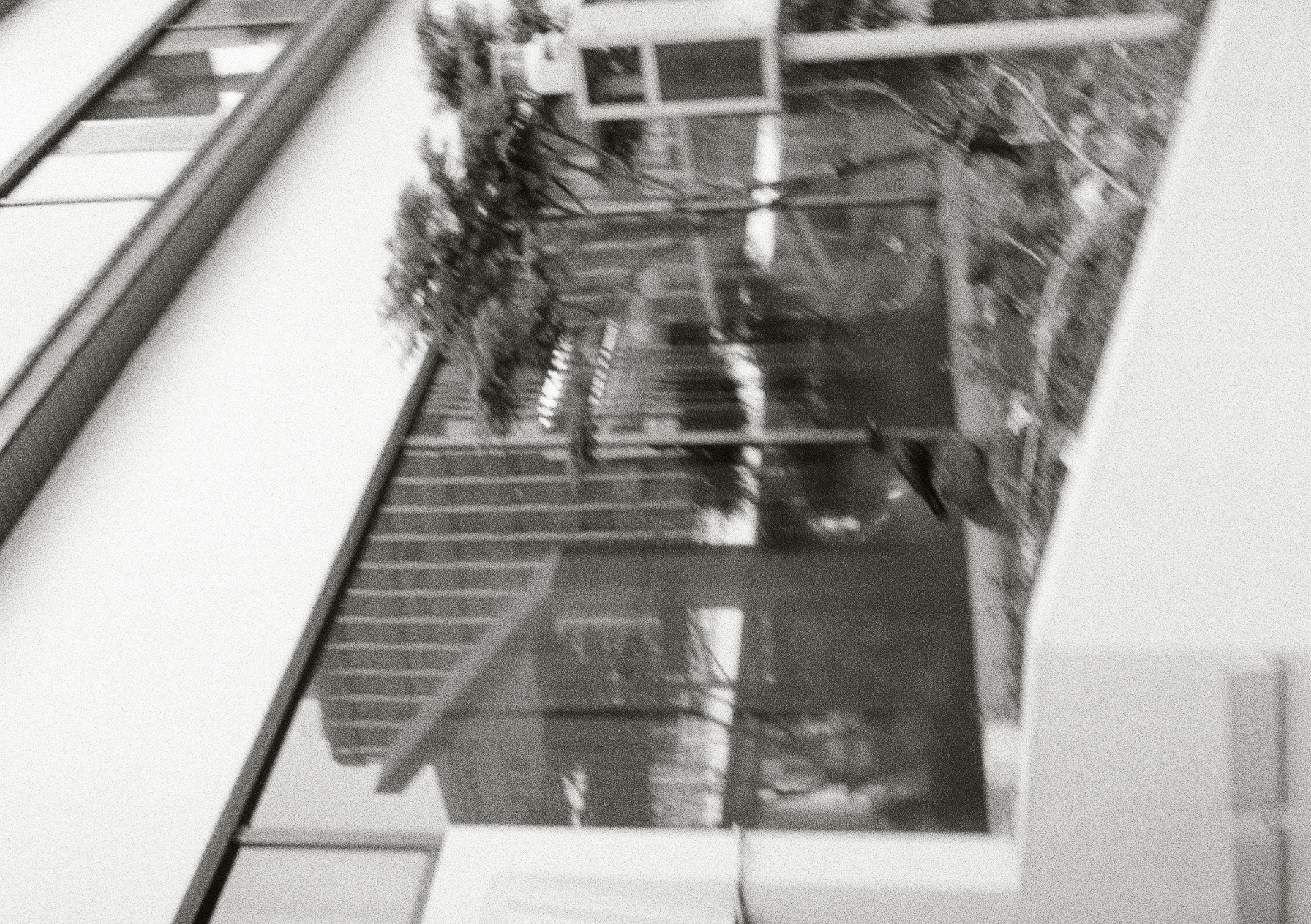 Roll #5 — Pentax 17 30