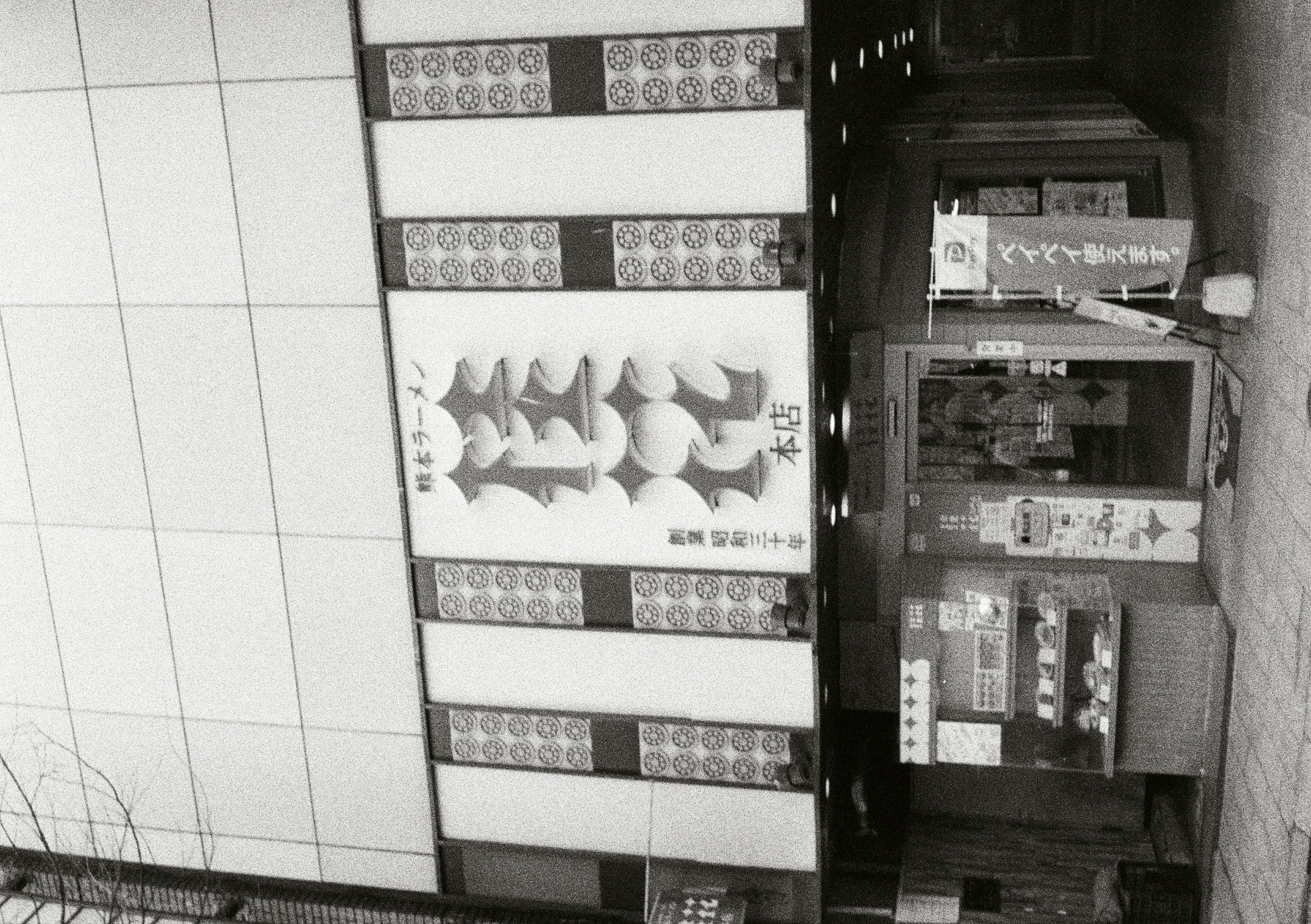 Roll #5 — Pentax 17 31