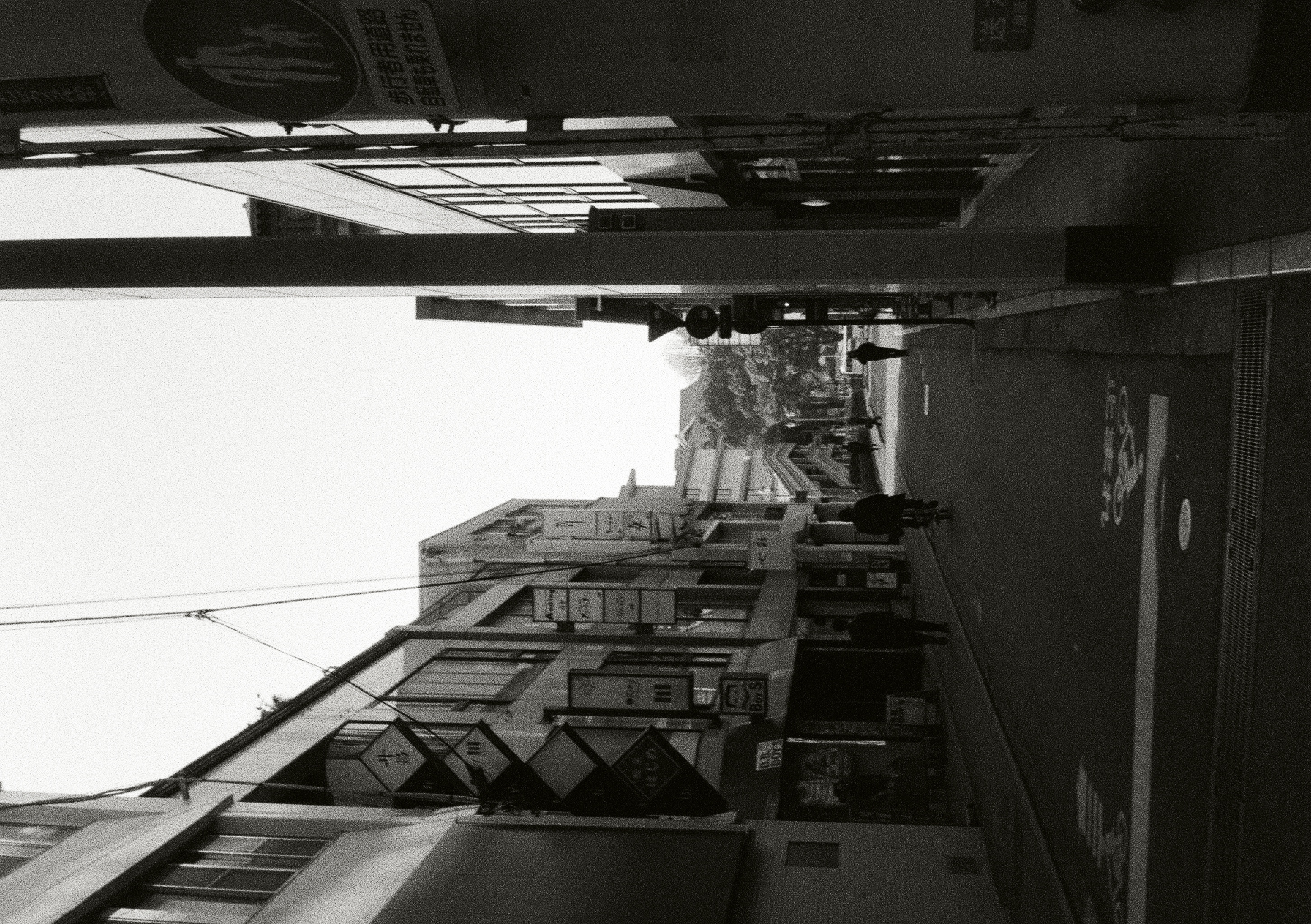 Roll #5 — Pentax 17 36