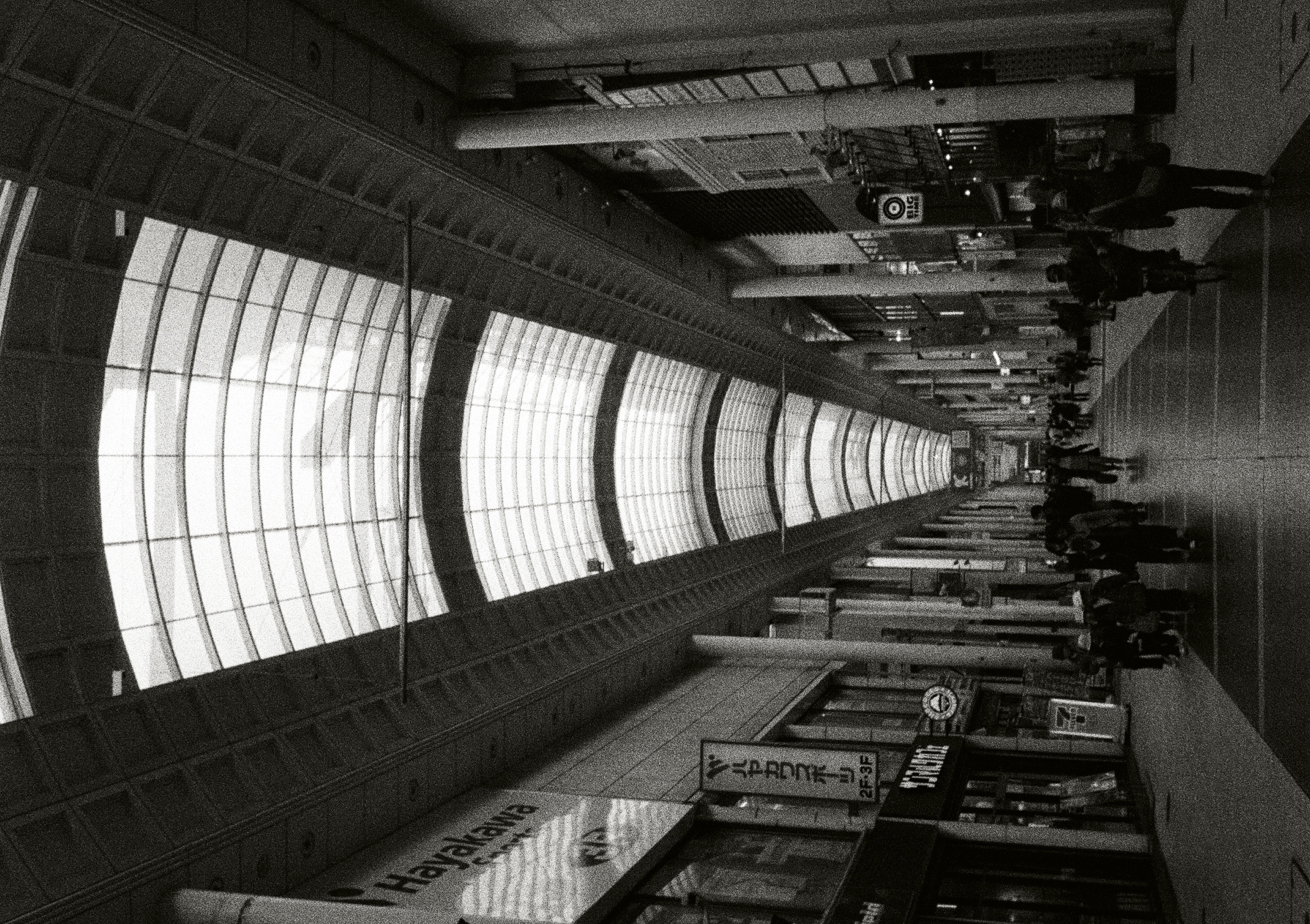 Roll #5 — Pentax 17 37