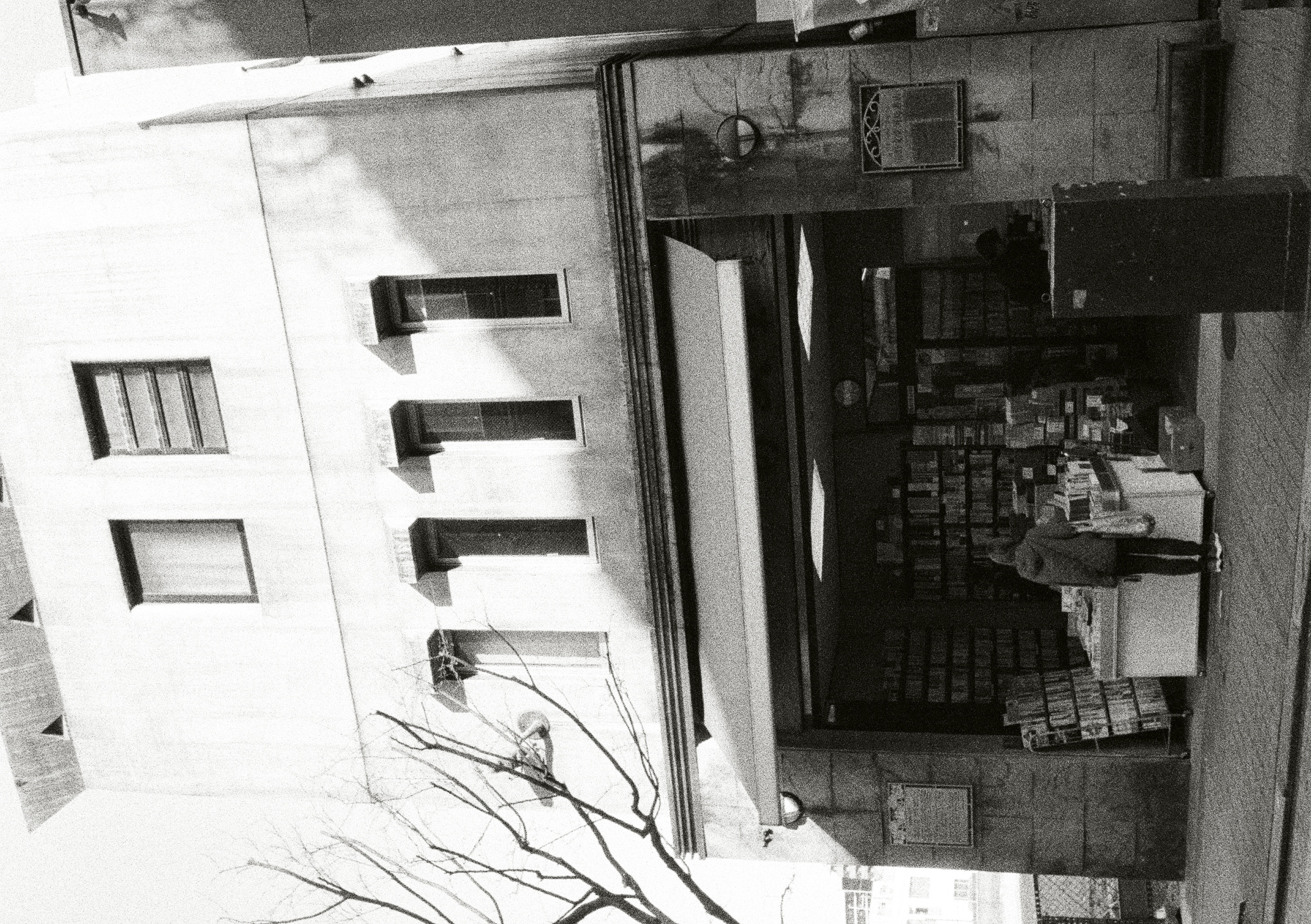 Roll #5 — Pentax 17 38