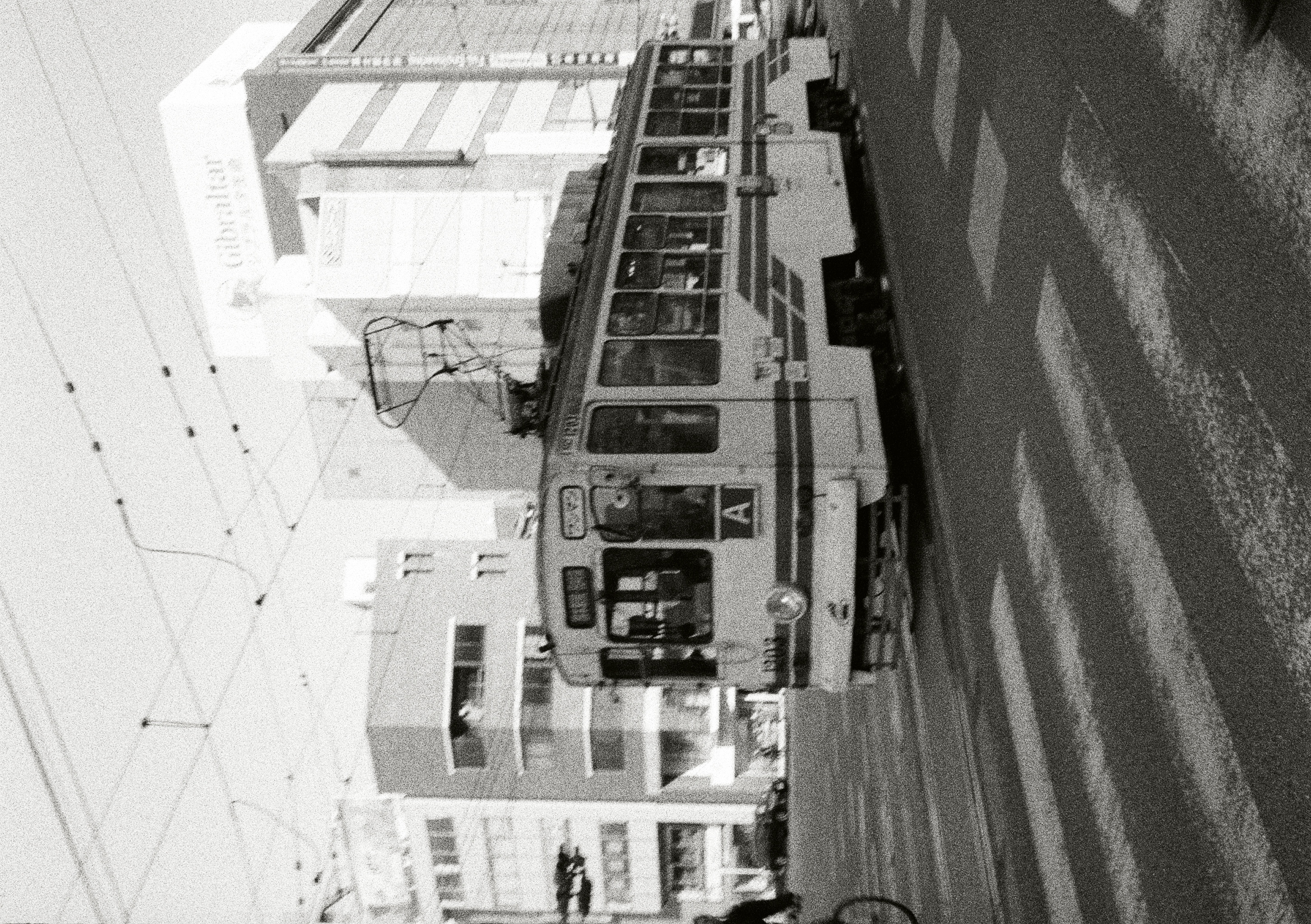 Roll #5 — Pentax 17 44