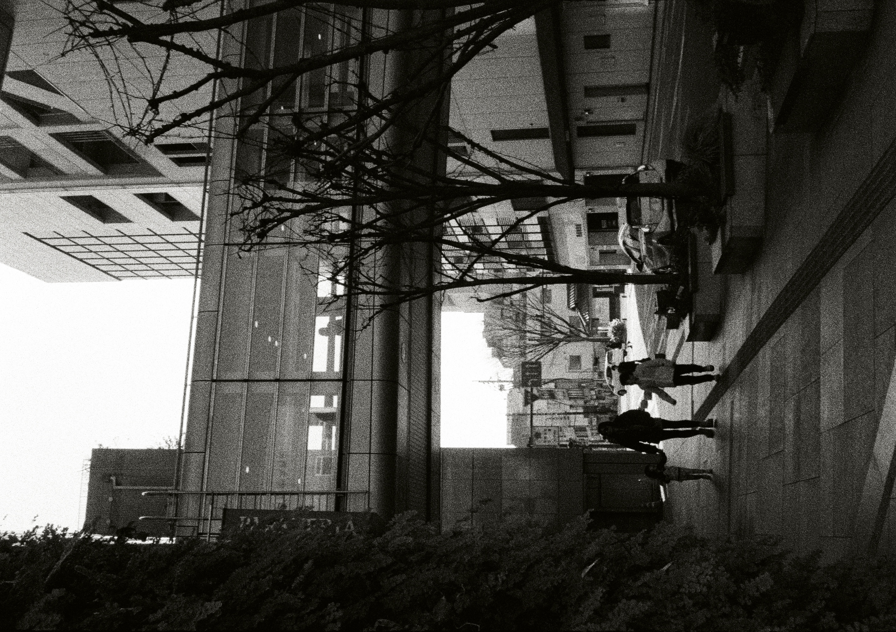 Roll #5 — Pentax 17 47