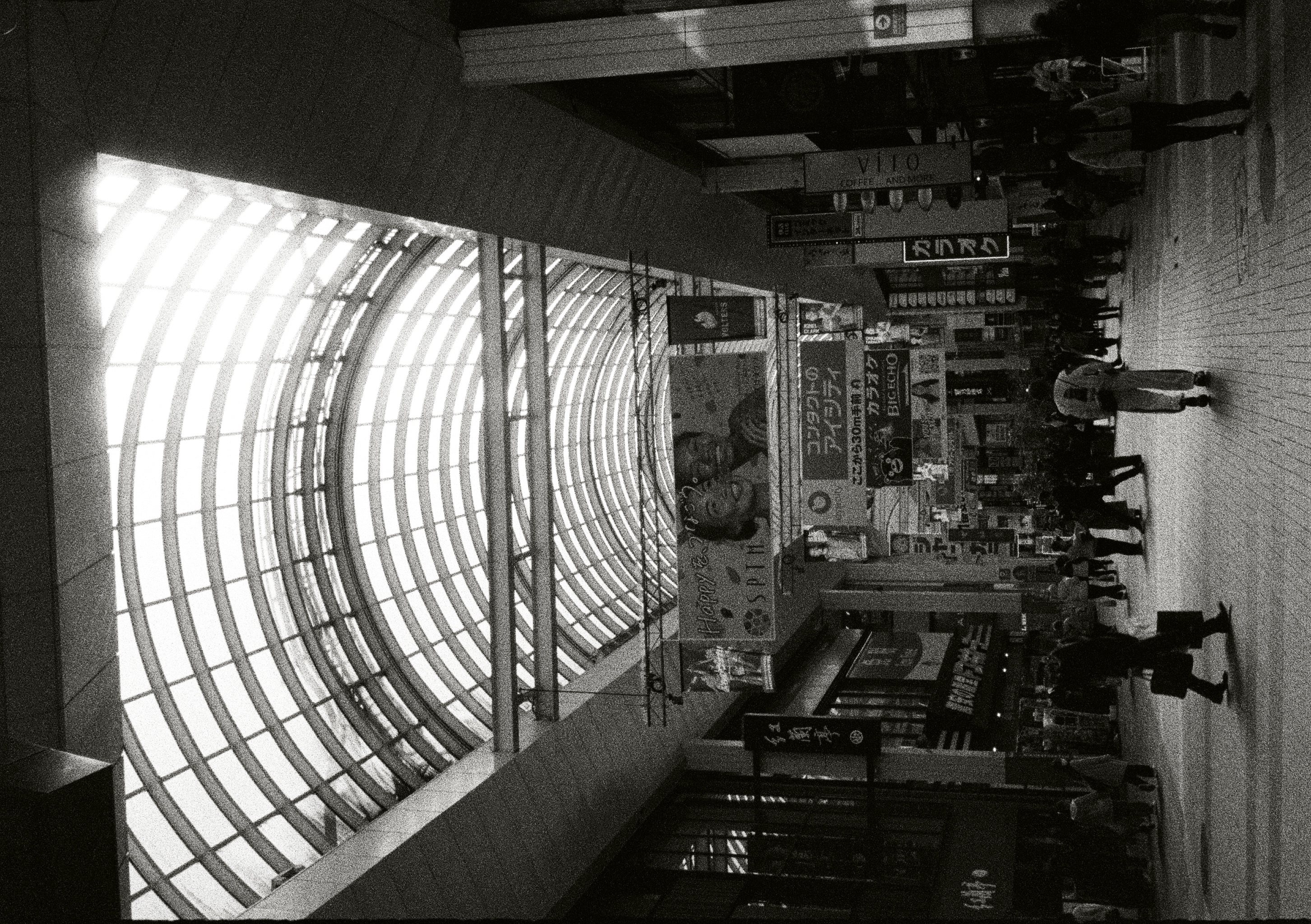 Roll #5 — Pentax 17 49