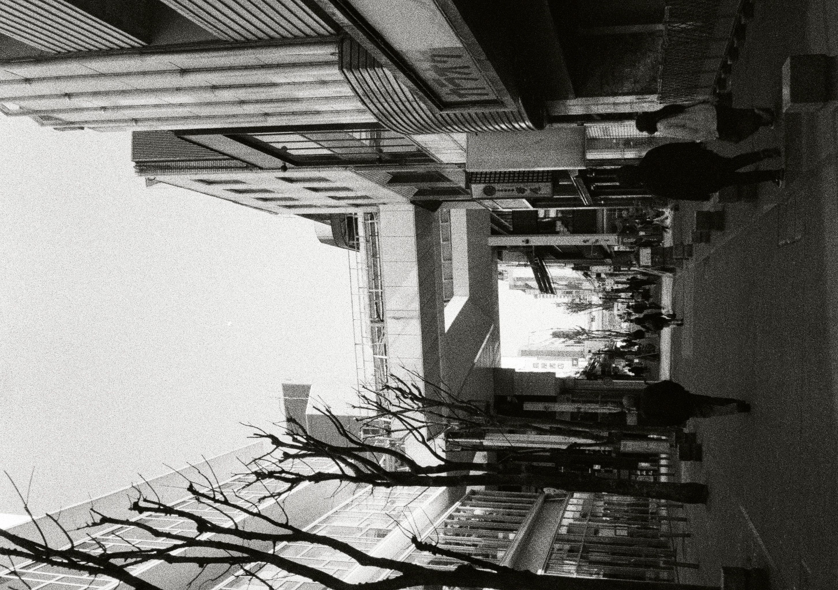 Roll #5 — Pentax 17 50