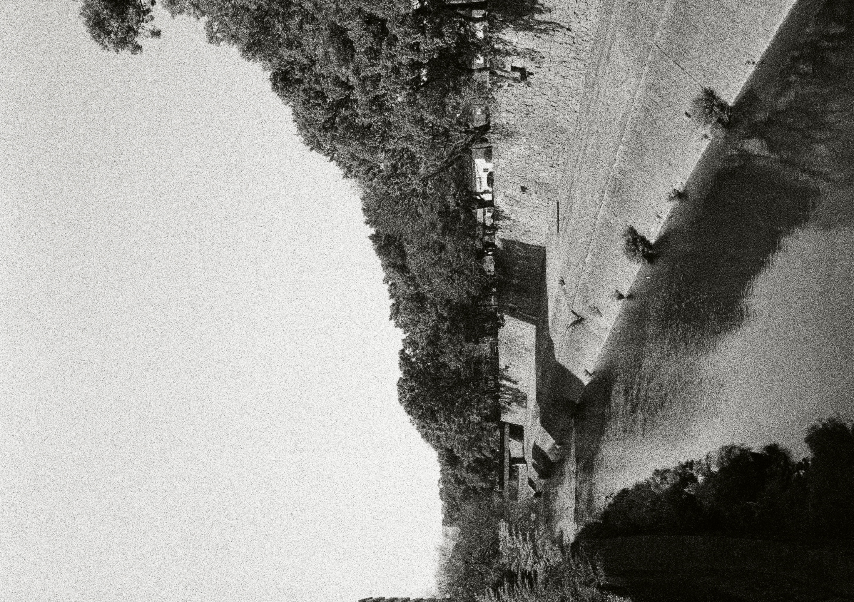 Roll #5 — Pentax 17 60