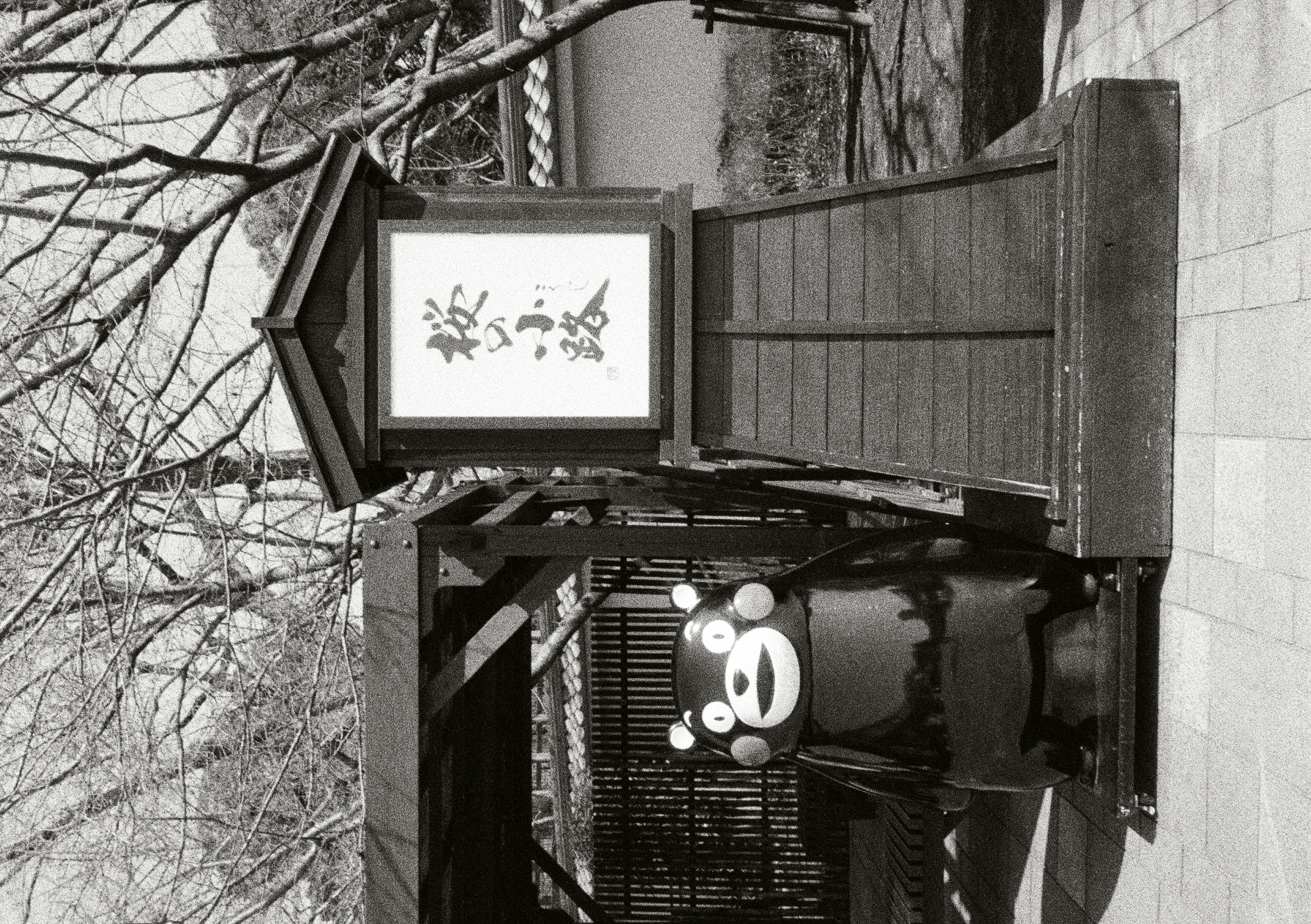 Roll #5 — Pentax 17 61