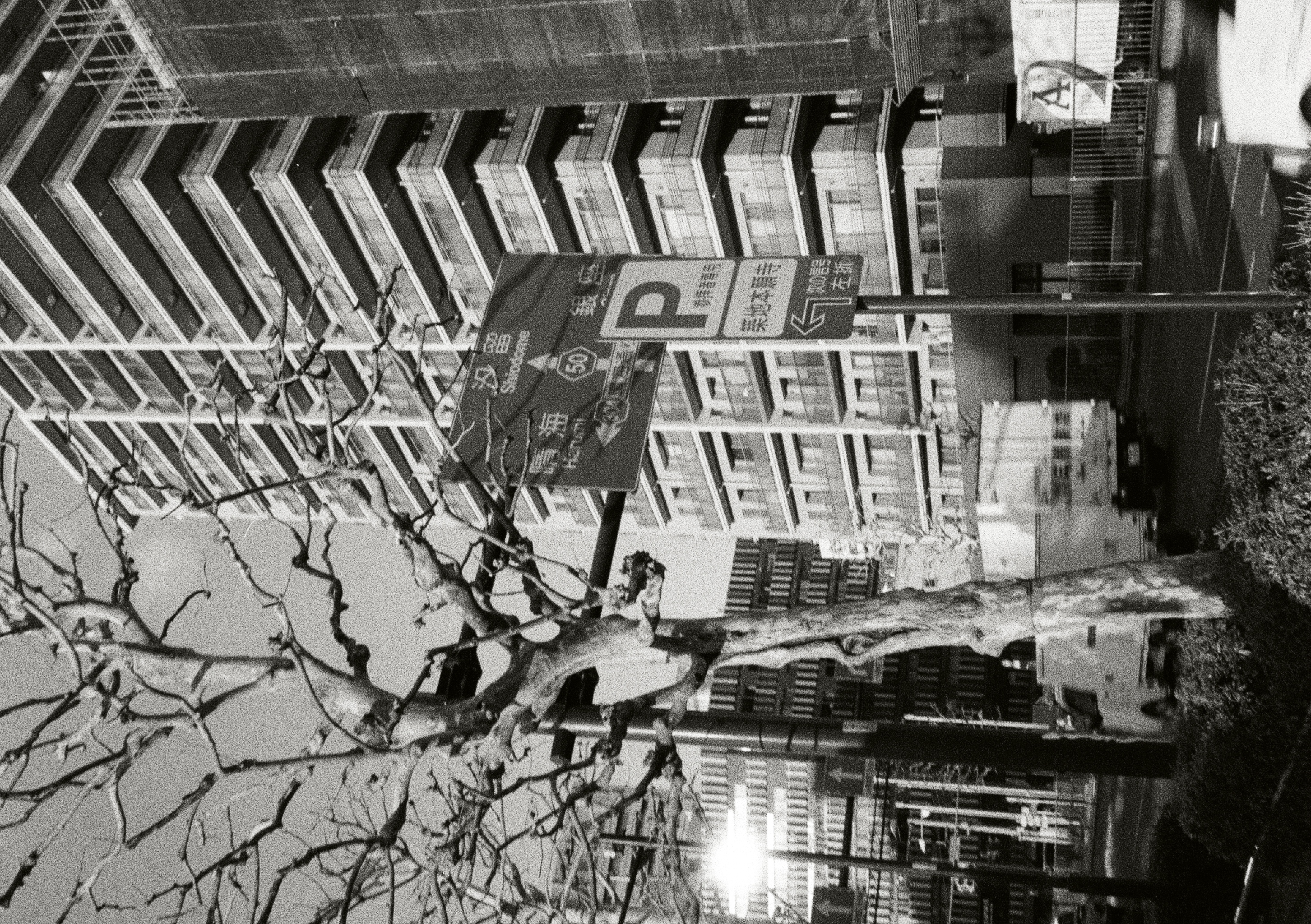 Roll #5 — Pentax 17 69