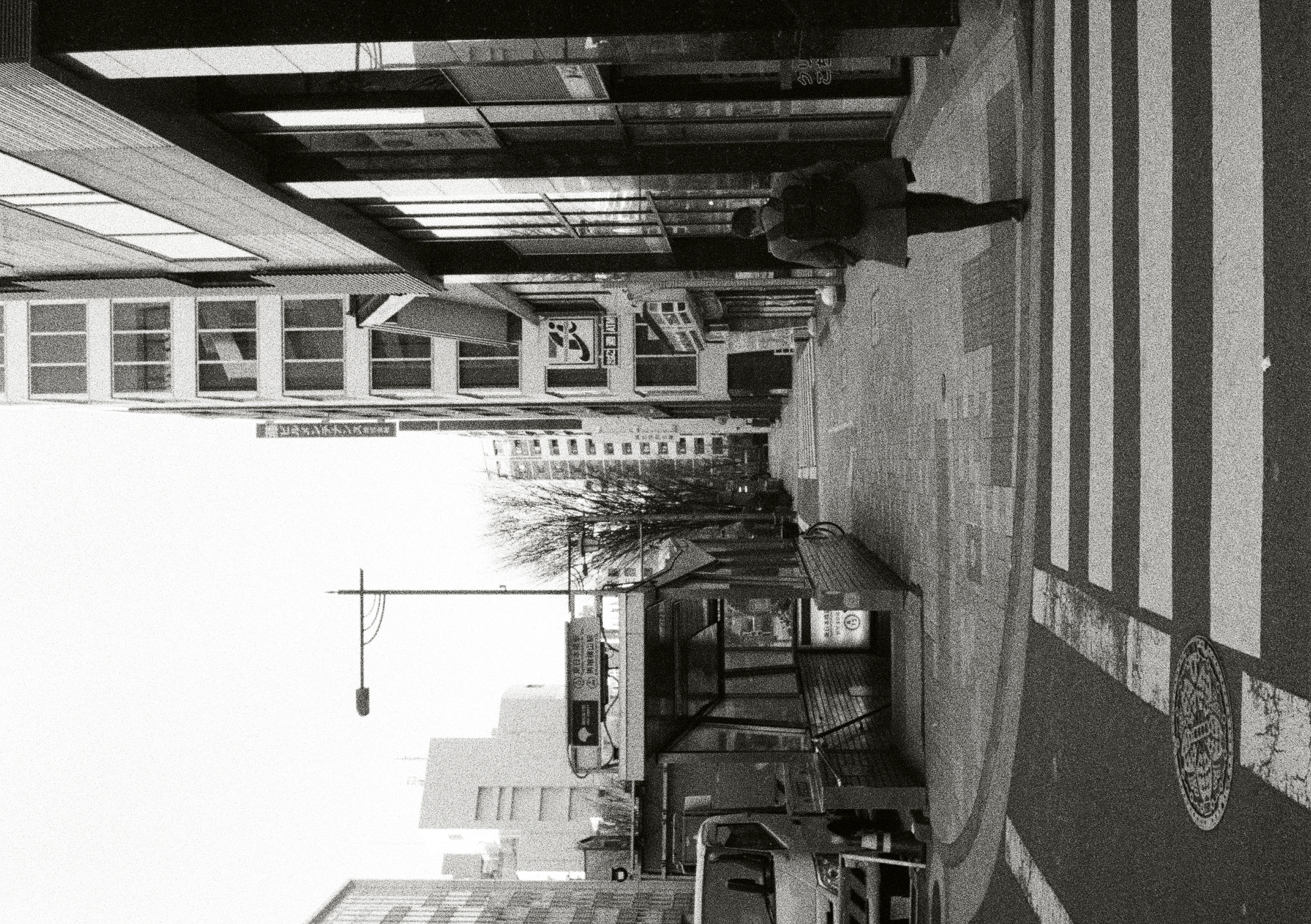 Roll #5 — Pentax 17 73