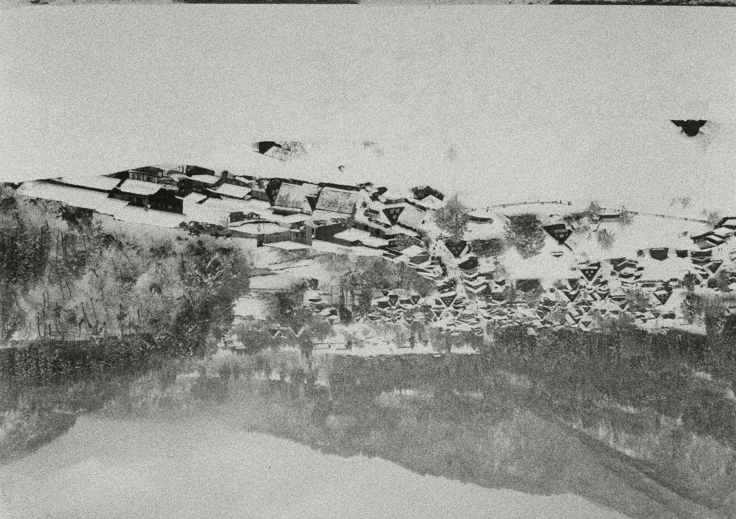 Roll #5 — Pentax 17 74